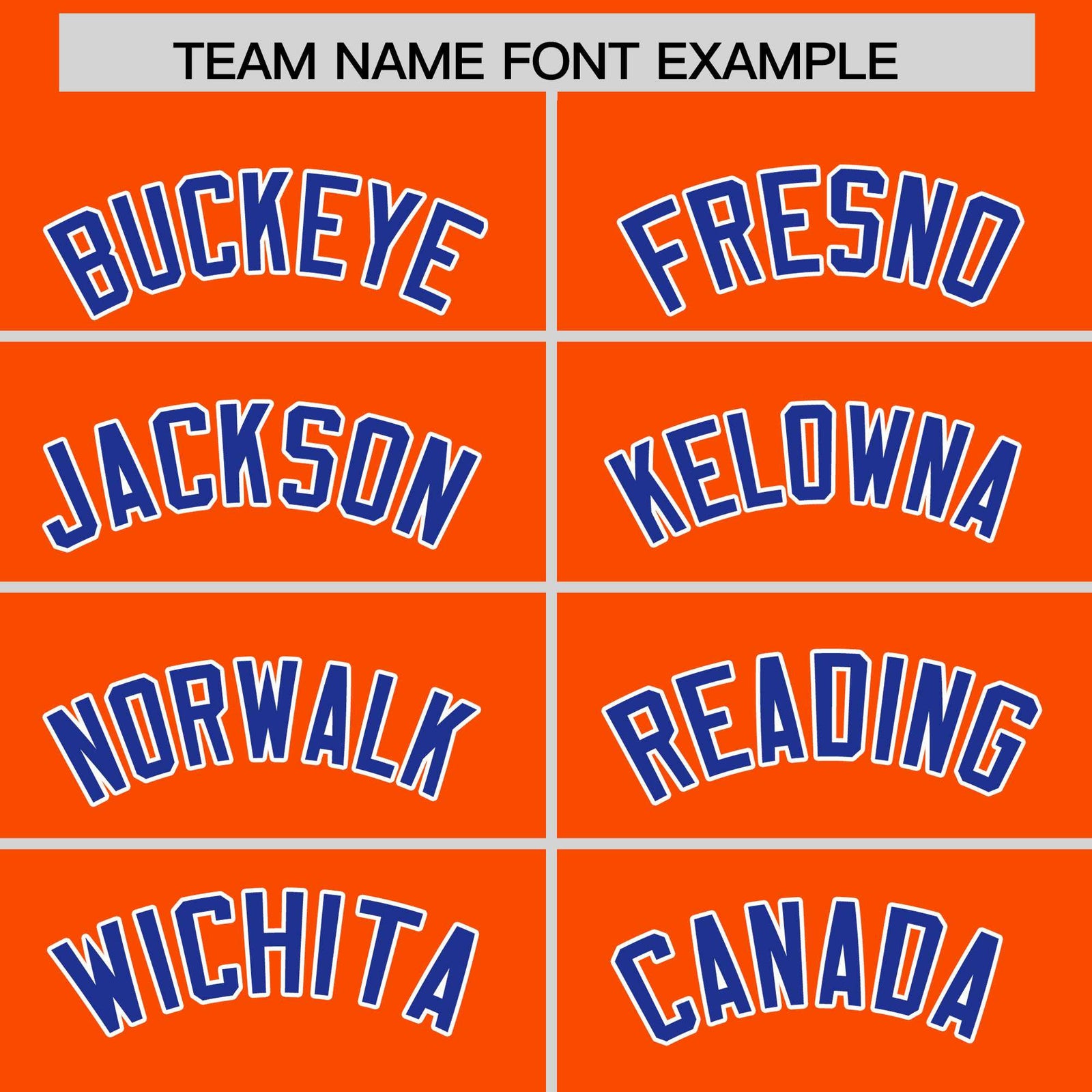 Custom Orange Royal Stripe Animals Graffiti Pattern Raglan Sleeves Authentic Baseball Jersey