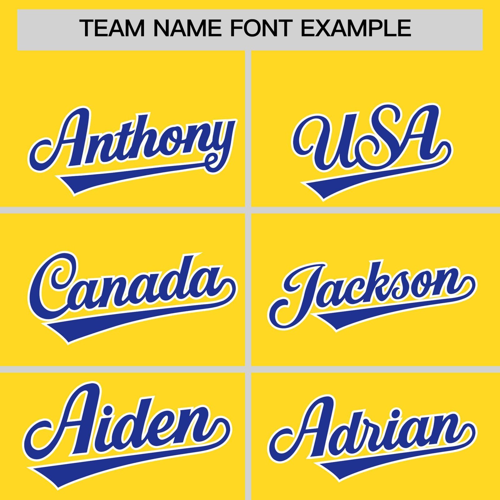 Custom Gold Royal Stripe Animals Graffiti Pattern Raglan Sleeves Authentic Baseball Jersey