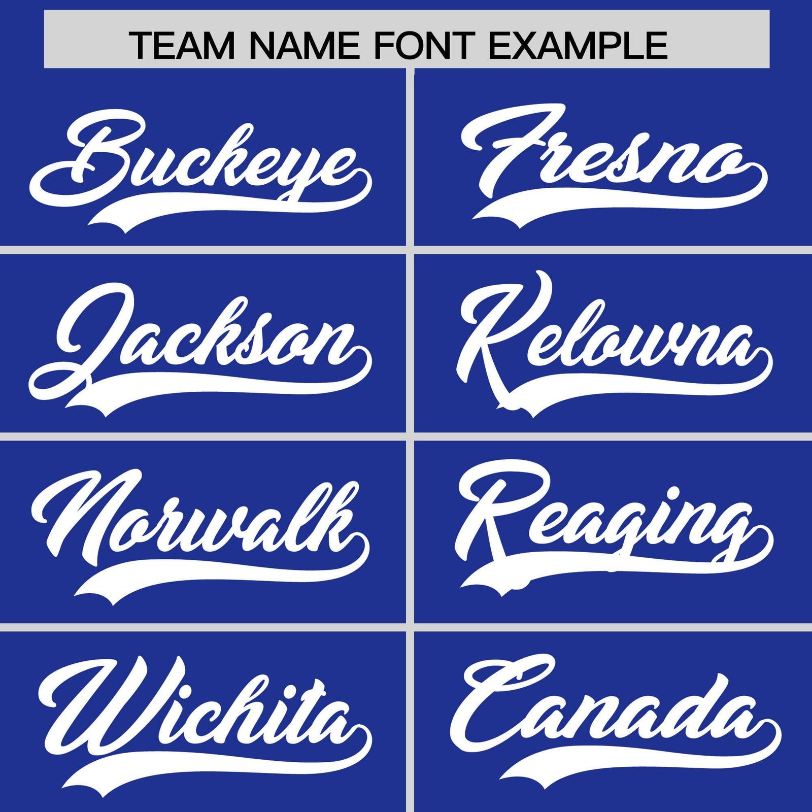 Custom Royal White Stripe Animals Graffiti Pattern Raglan Sleeves Authentic Baseball Jersey