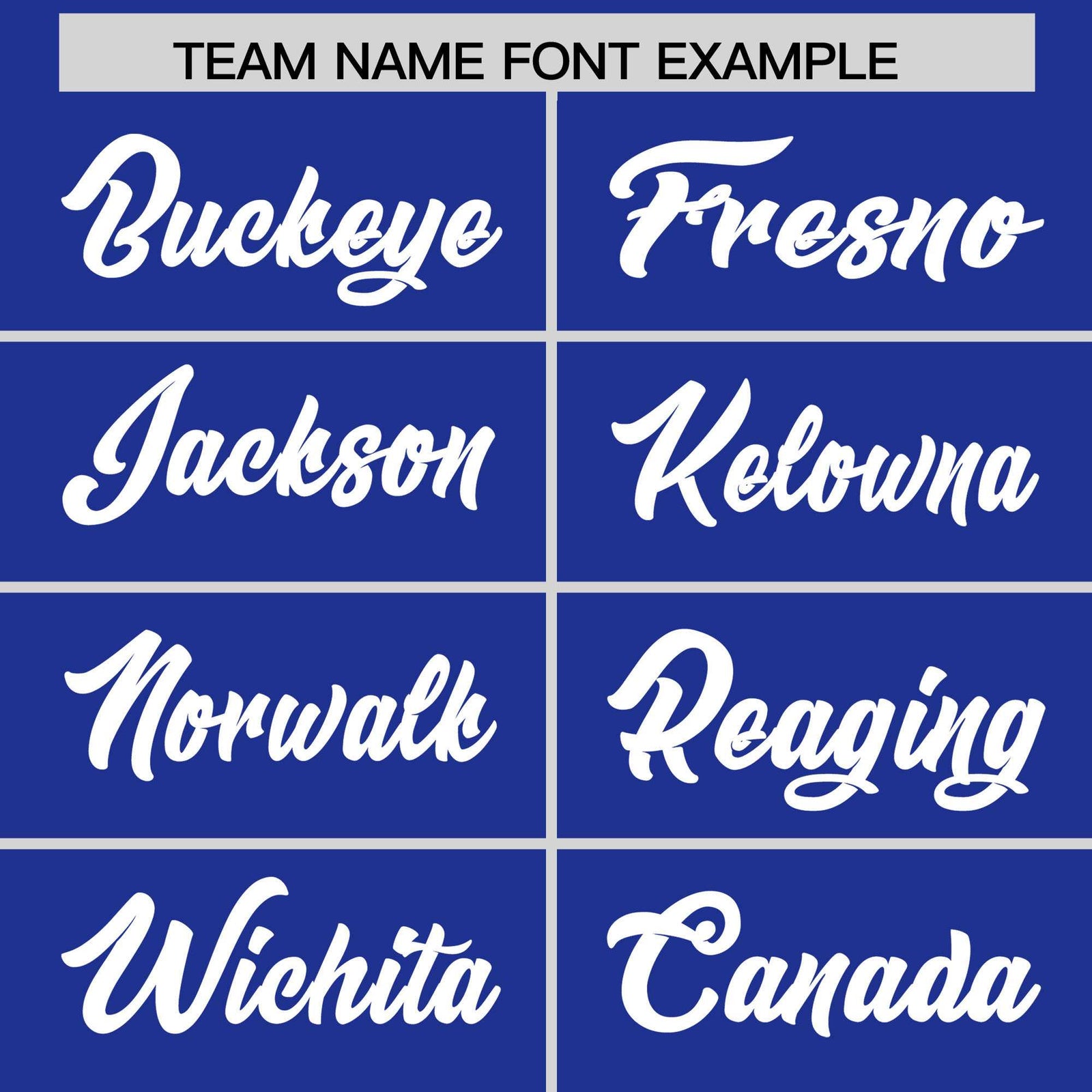 Custom Royal White Stripe Animals Graffiti Pattern Raglan Sleeves Authentic Baseball Jersey