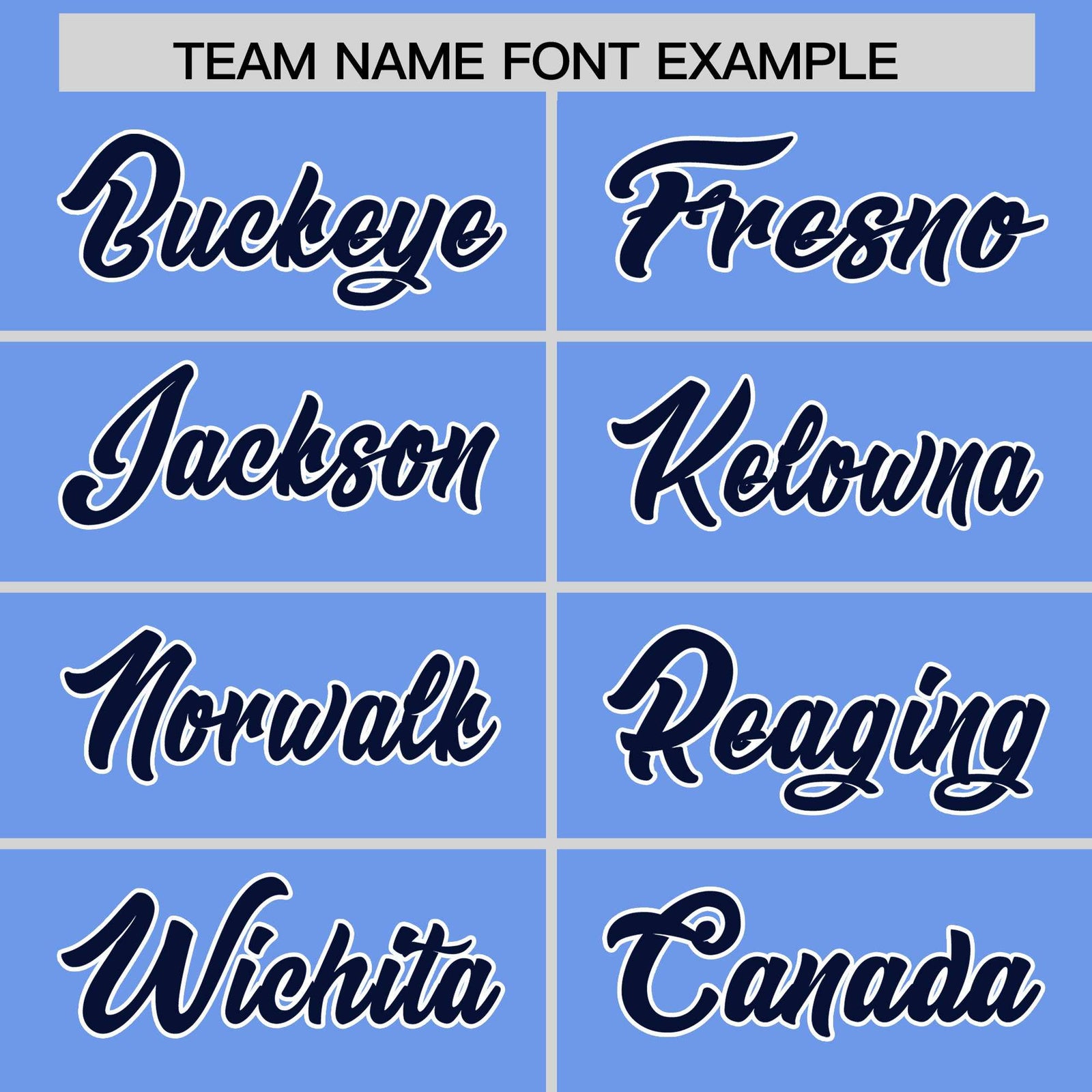 Custom Light Blue Navy Stripe Animals Graffiti Pattern Raglan Sleeves Authentic Baseball Jersey