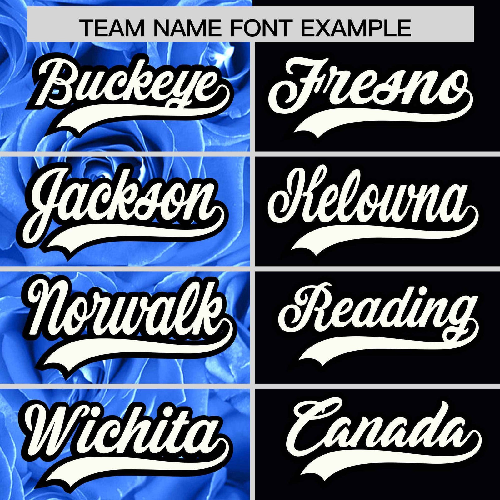 Custom Powder Blue Black Split Rose Print Authentic Baseball Jersey