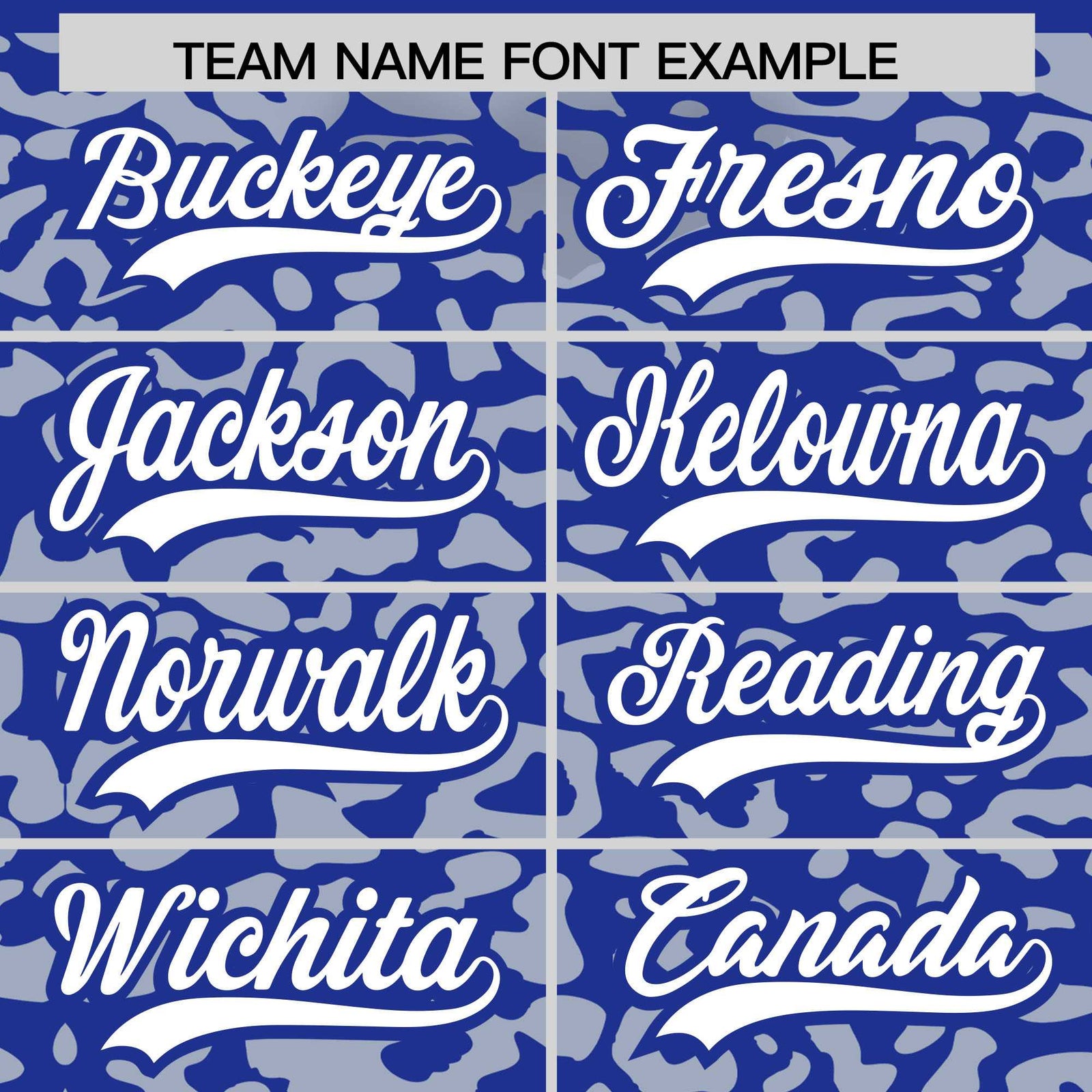 Custom Royal Silver Leopard Print Pattern Authentic Baseball Jersey