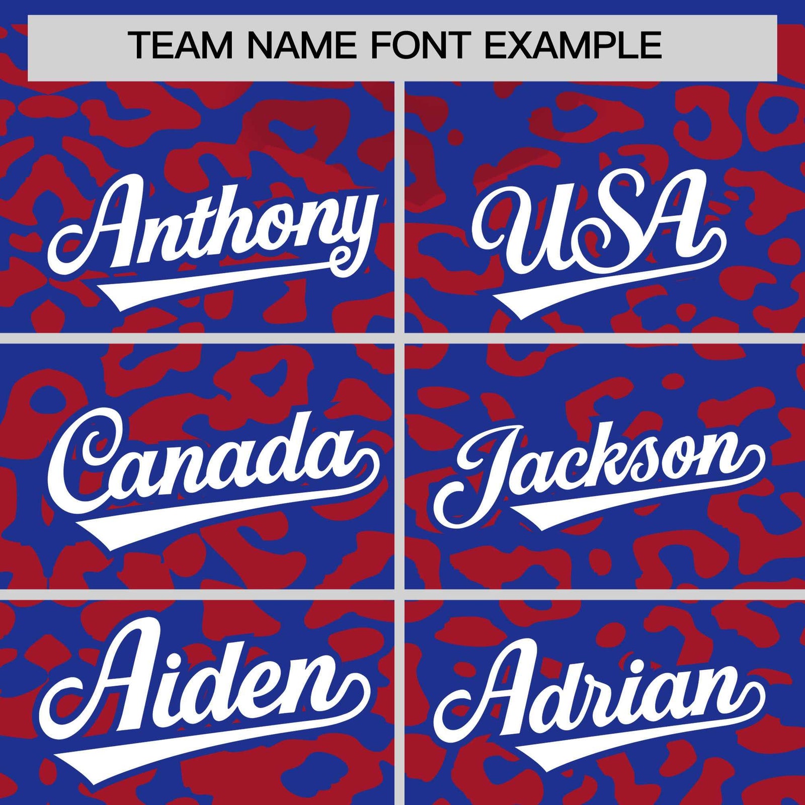 Custom Royal Red Leopard Print Pattern Authentic Baseball Jersey