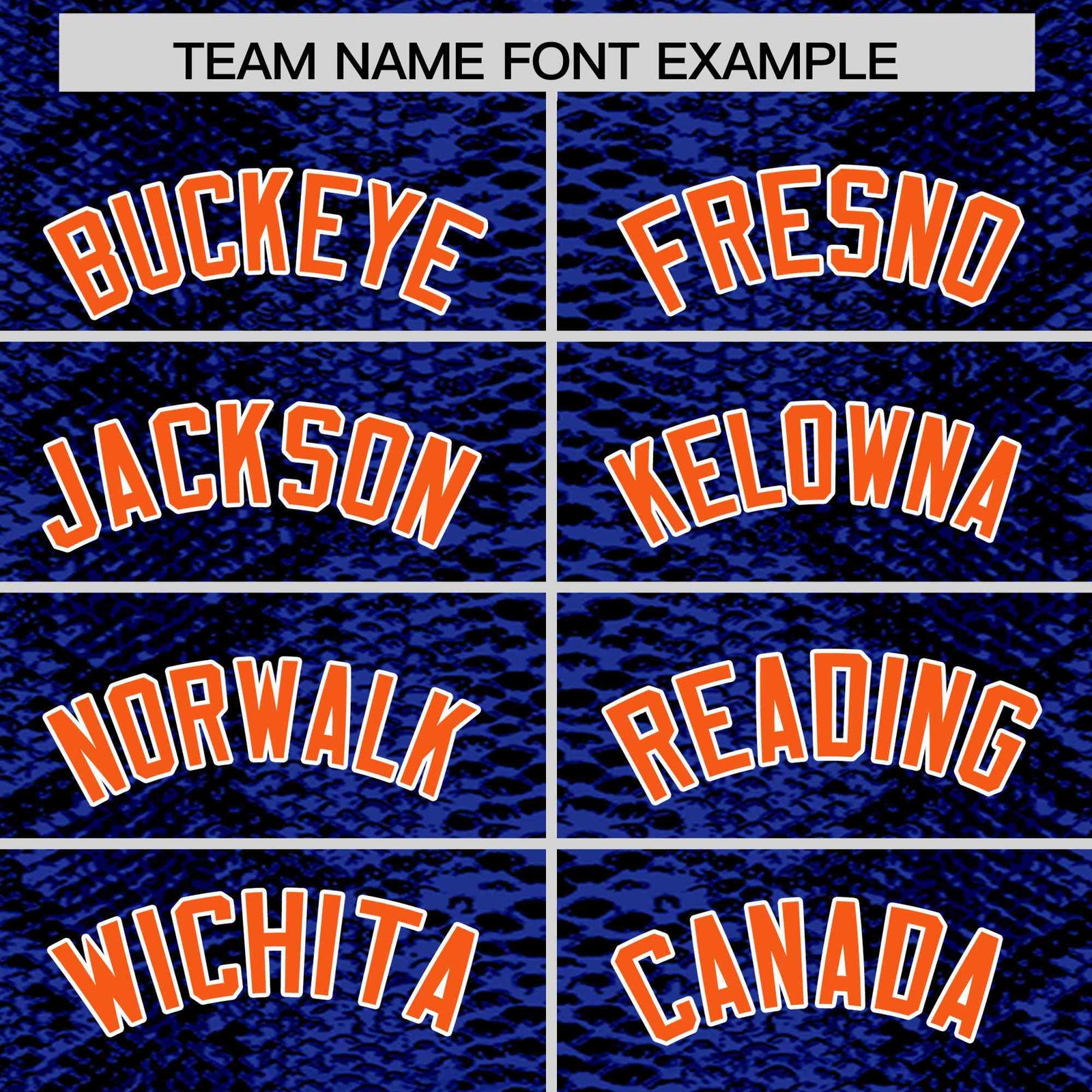 Custom Multi Color Snakeskin Pattern Authentic Baseball Jersey