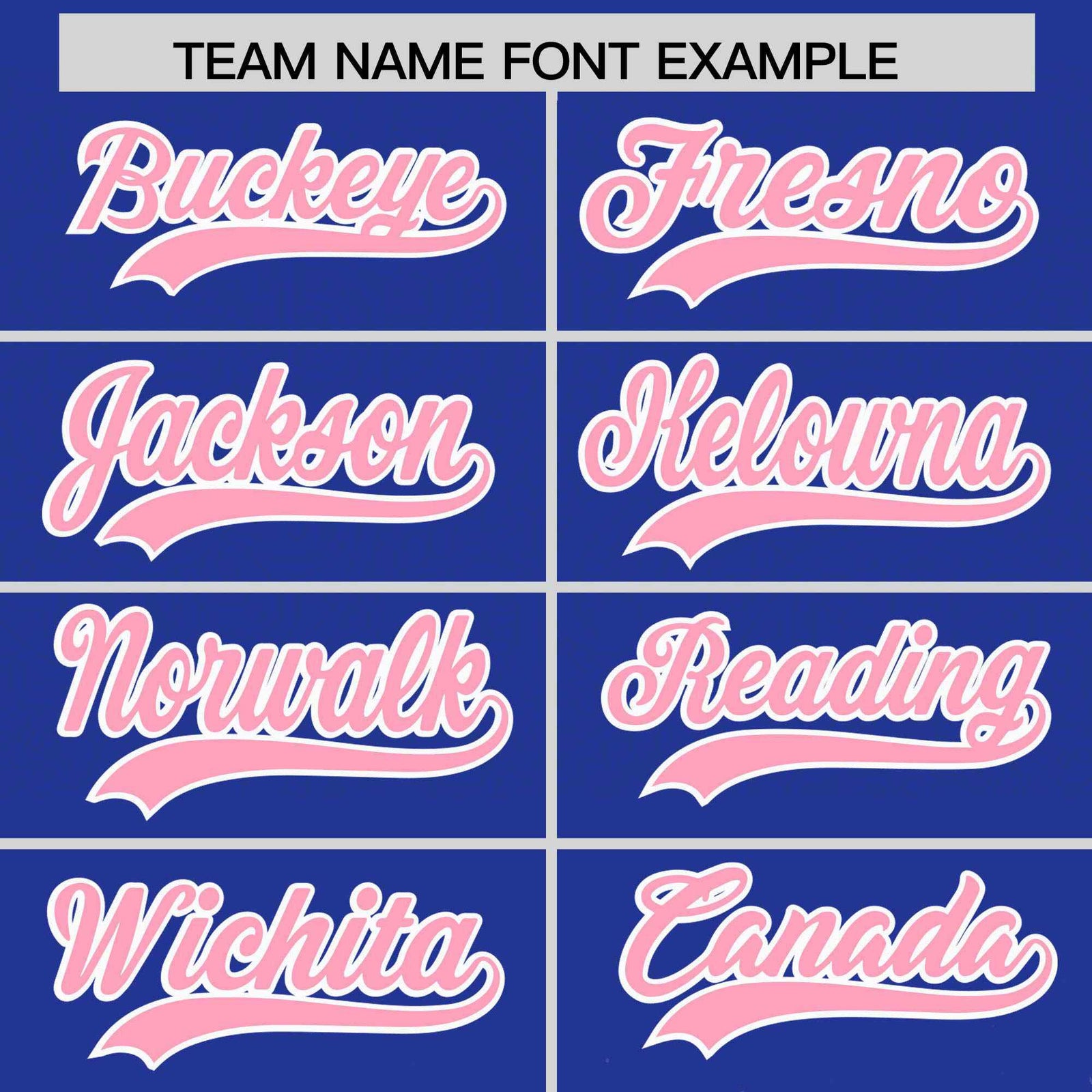 Custom Royal Light Pink Floral Print Pattern Full Button Gradient Fashion Baseball Jersey
