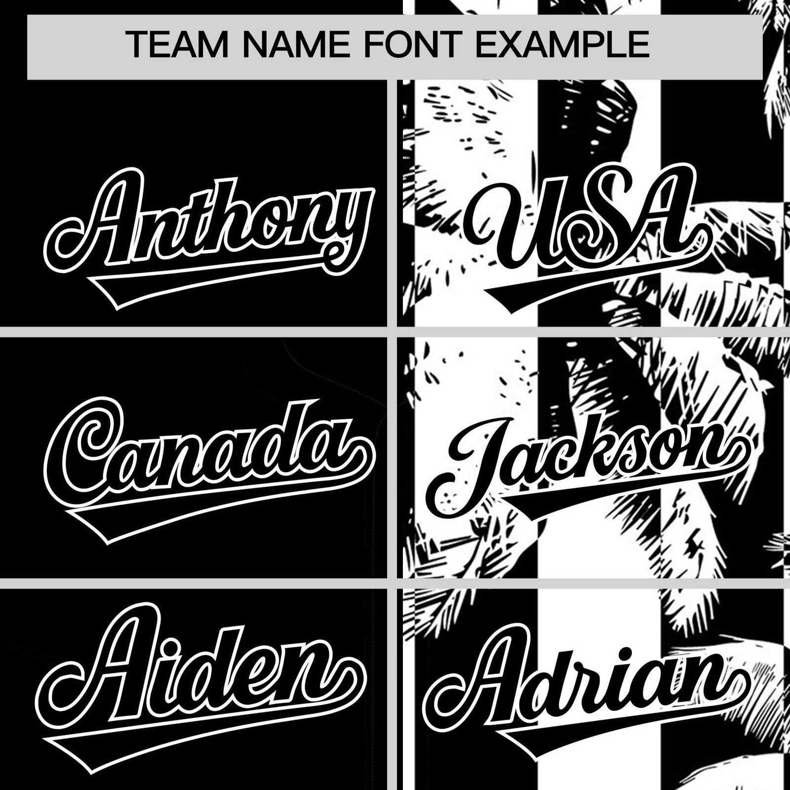 Custom Black White Split Fashion Coconut Tree Design Authentic Baseball Jersey