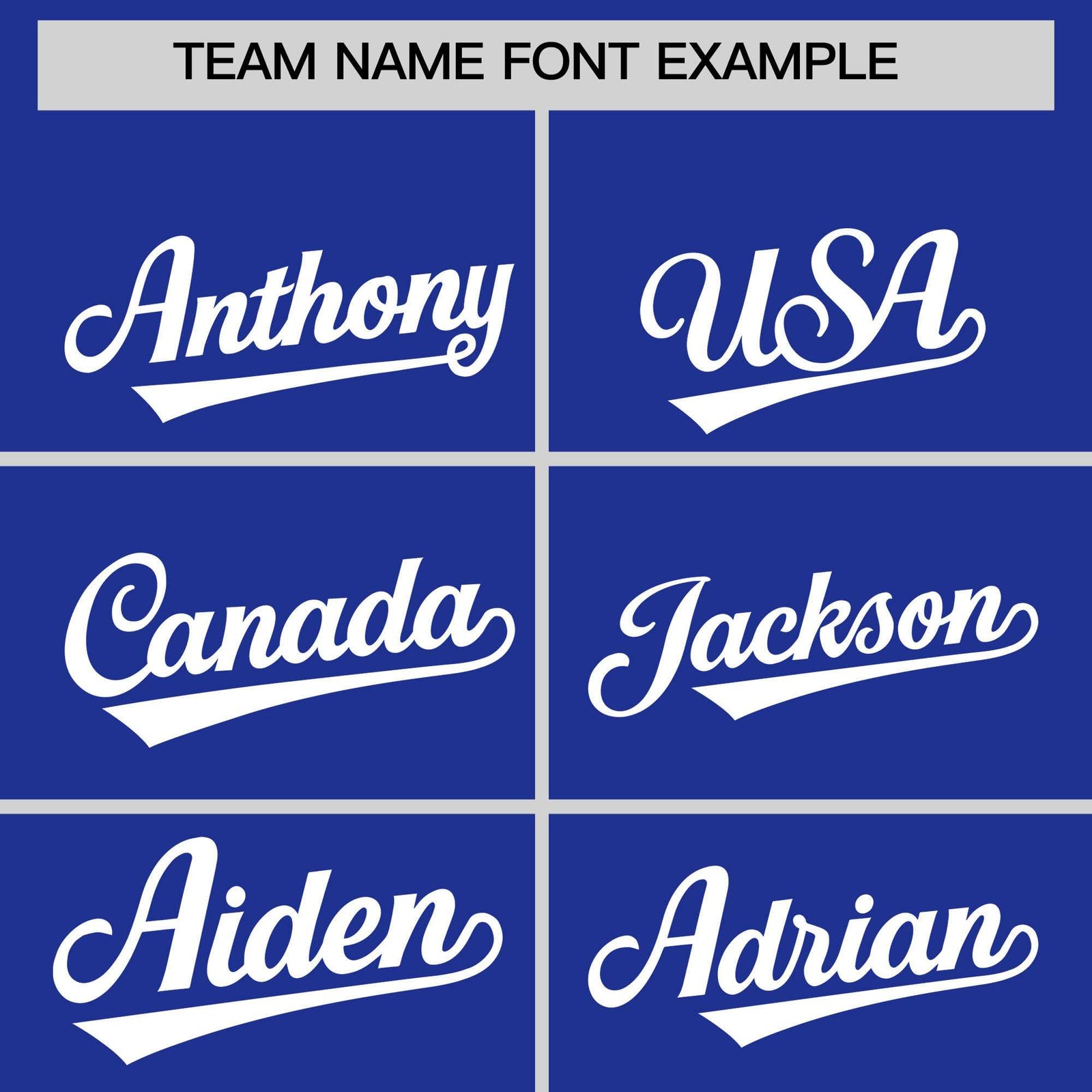 Custom Royal White Personalized Leopard Graffiti Pattern Side Design Authentic Baseball Jersey