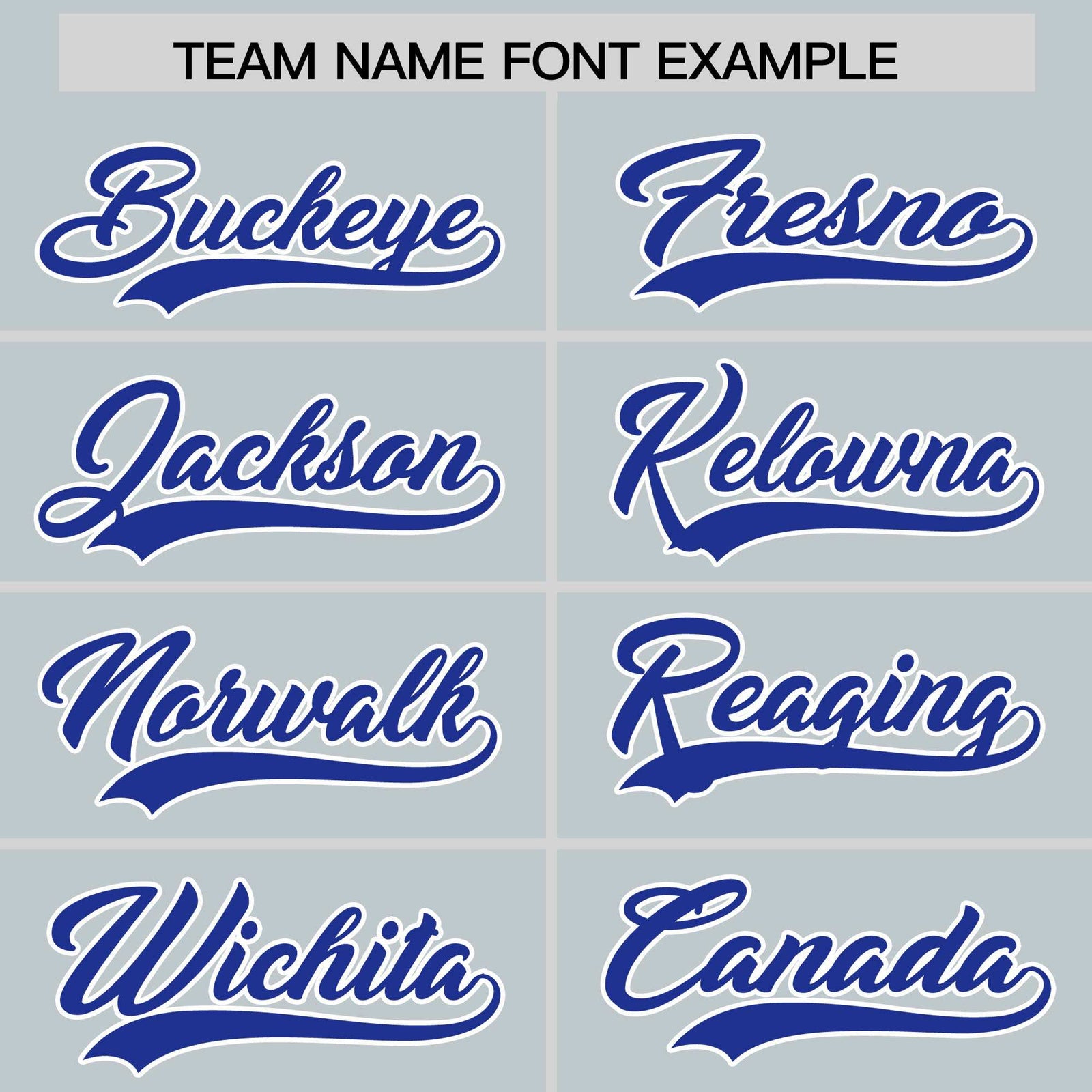 Custom Silver Royal Personalized Leopard Graffiti Pattern Side Design Authentic Baseball Jersey