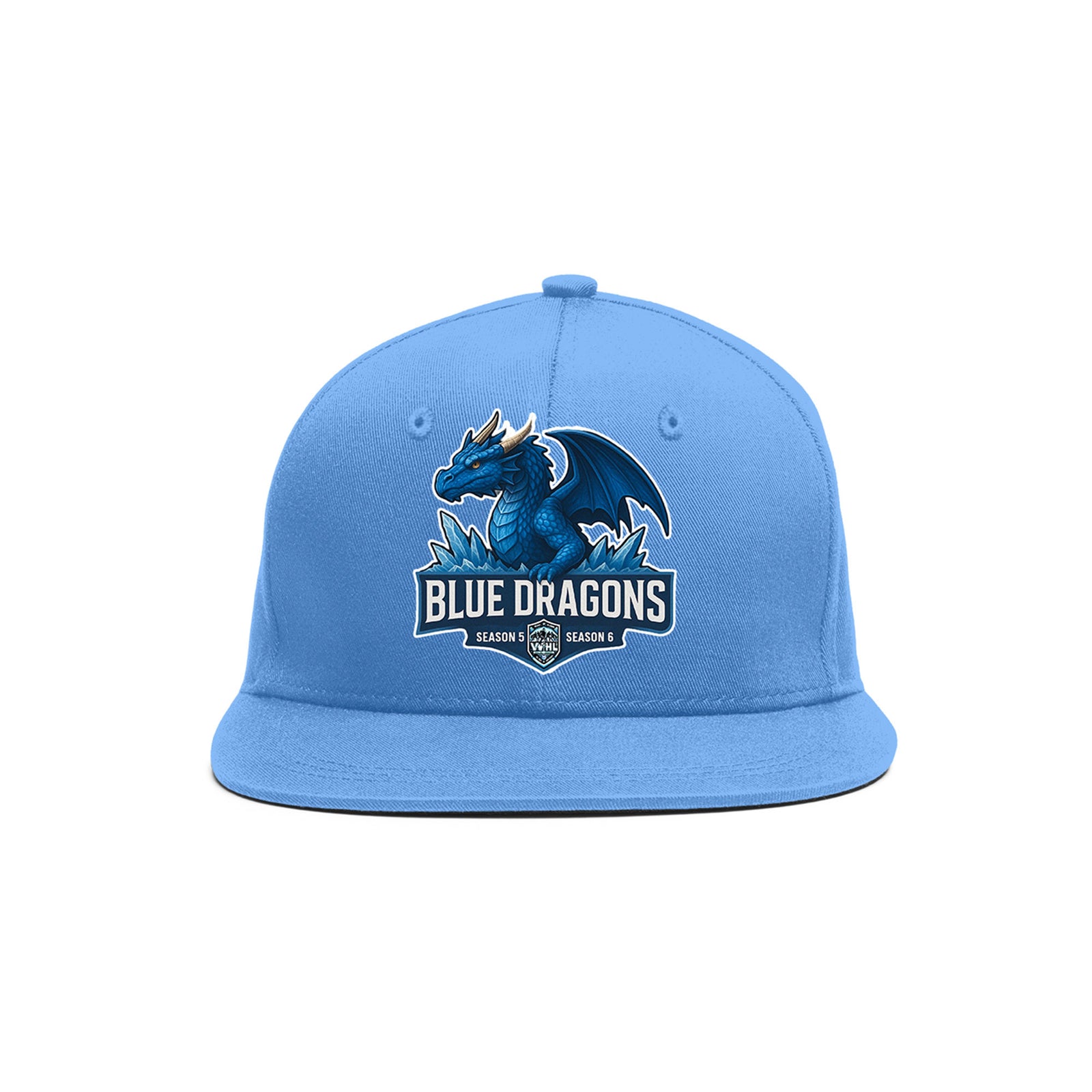 VVHL Light Blue S7-blue-dragons-1 3D Puff Embroidery Flat Embroidery Baseball Cap