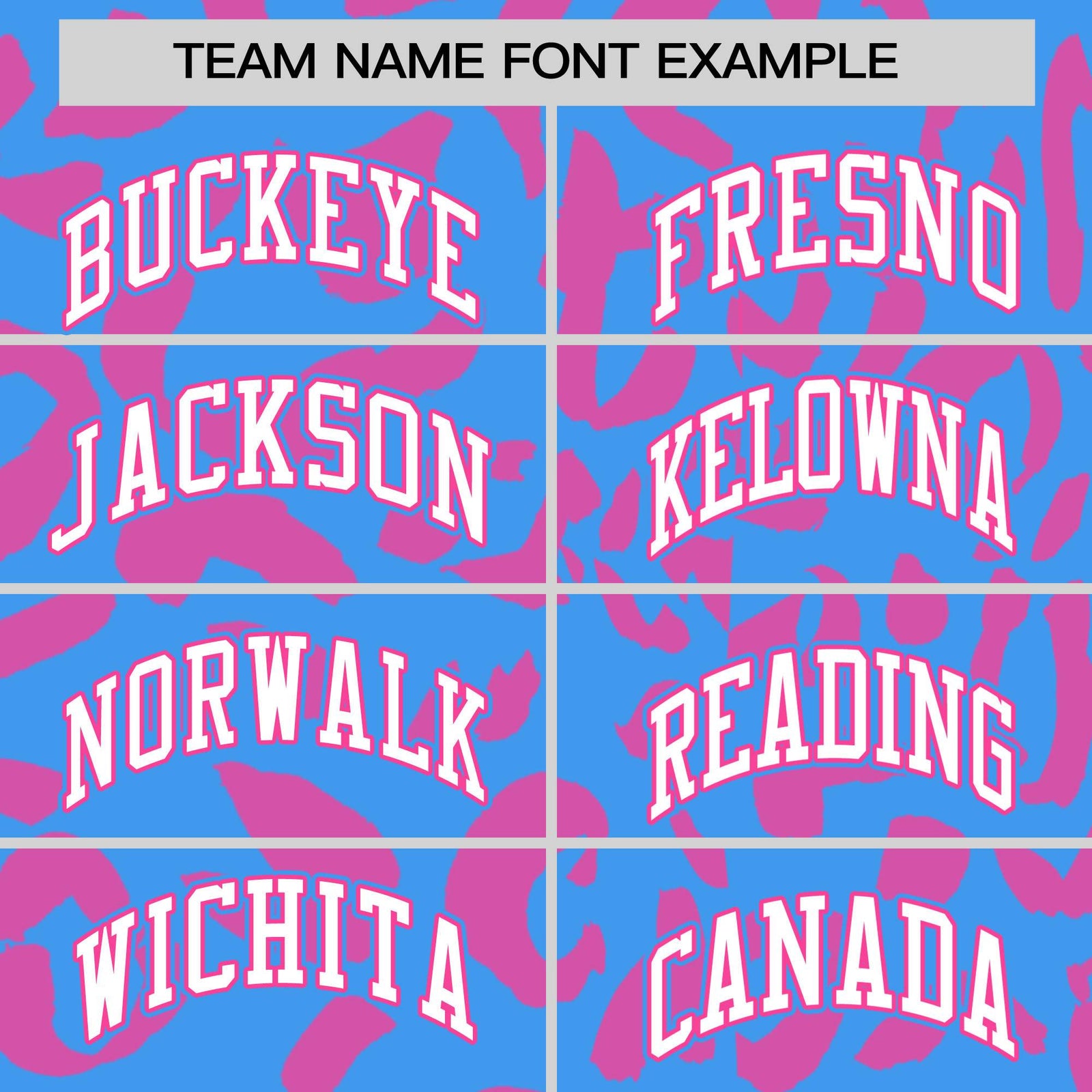Custom Powder Blue Pink Varsity Full-Snap Leopard Print Graffiti Pattern Letterman Baseball Jacket