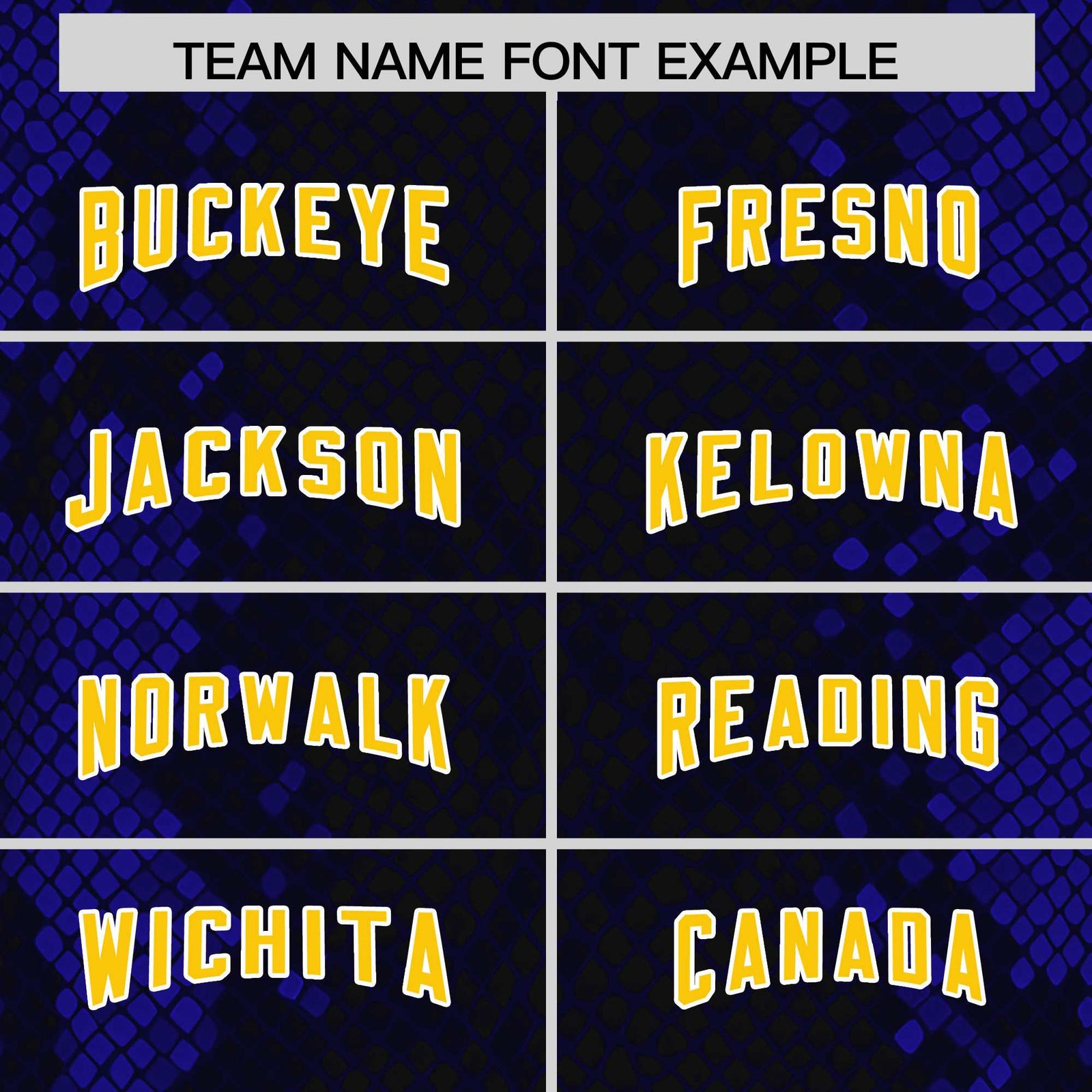 Custom Black Personalized Snakeskin Graffiti Pattern Authentic Football Jersey
