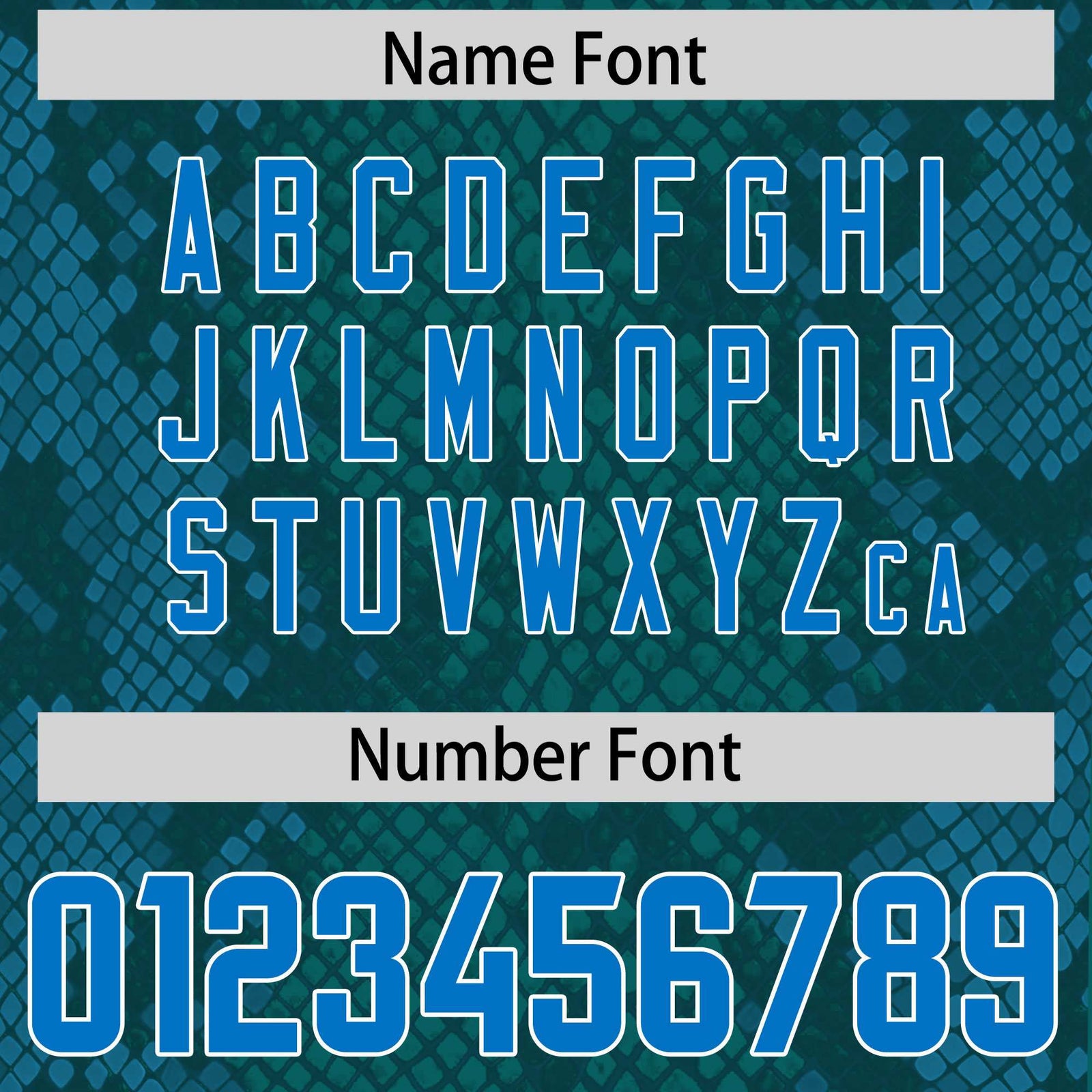 Custom Aqua Personalized Snakeskin Graffiti Pattern Authentic Football Jersey