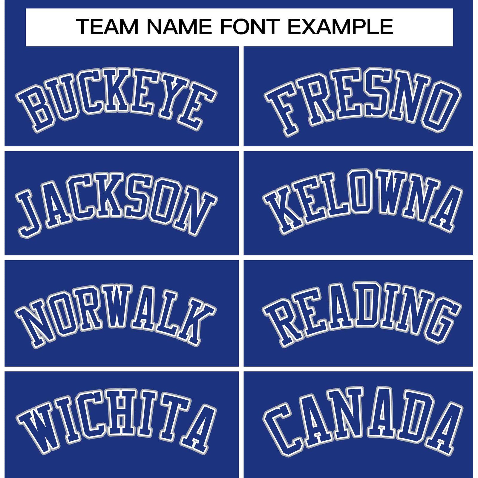 Custom Royal Royal-White Raglan Sleeves Varsity Full-Snap Letterman Jacket