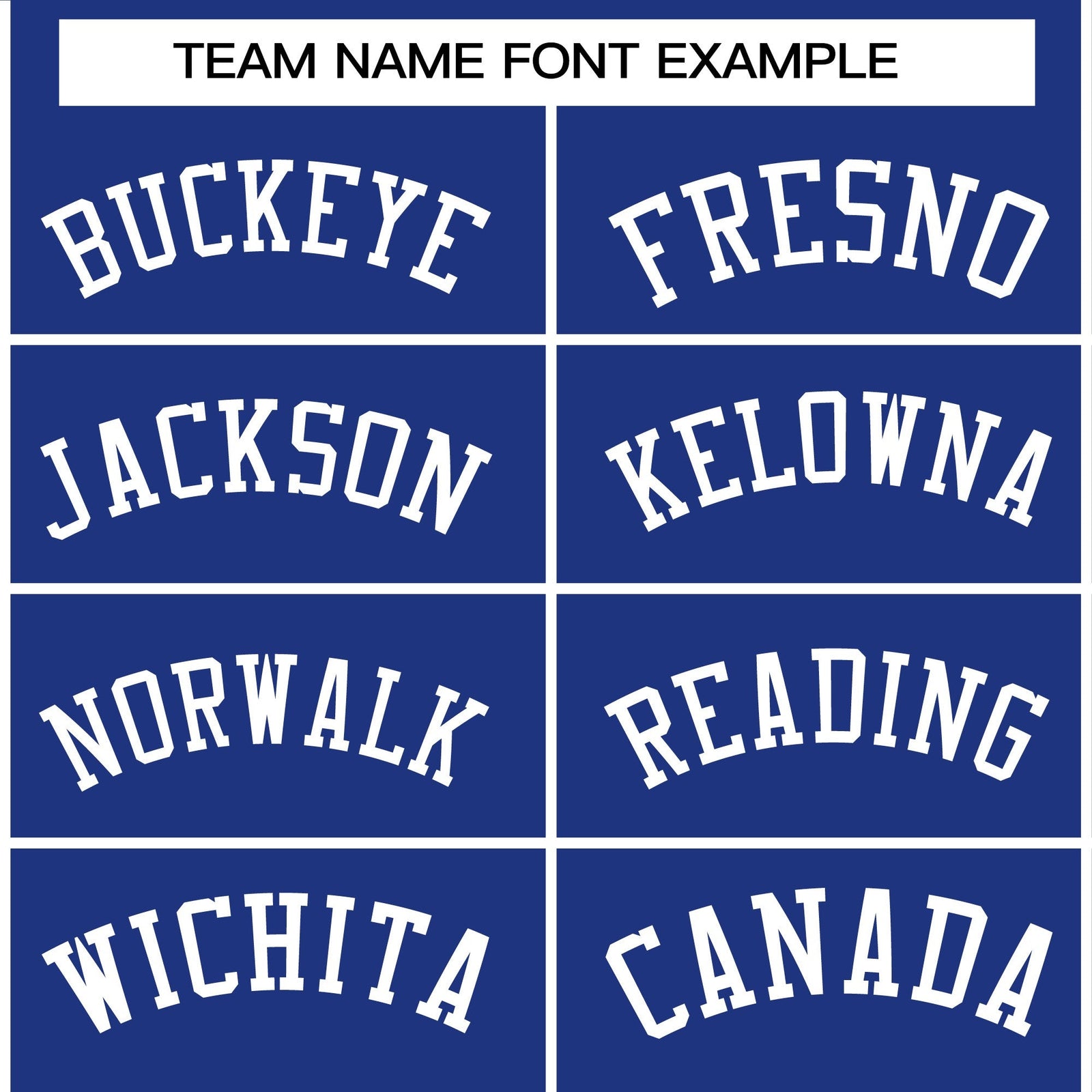 Custom Royal White Classic Style Varsity Full-Snap Letterman Jacket