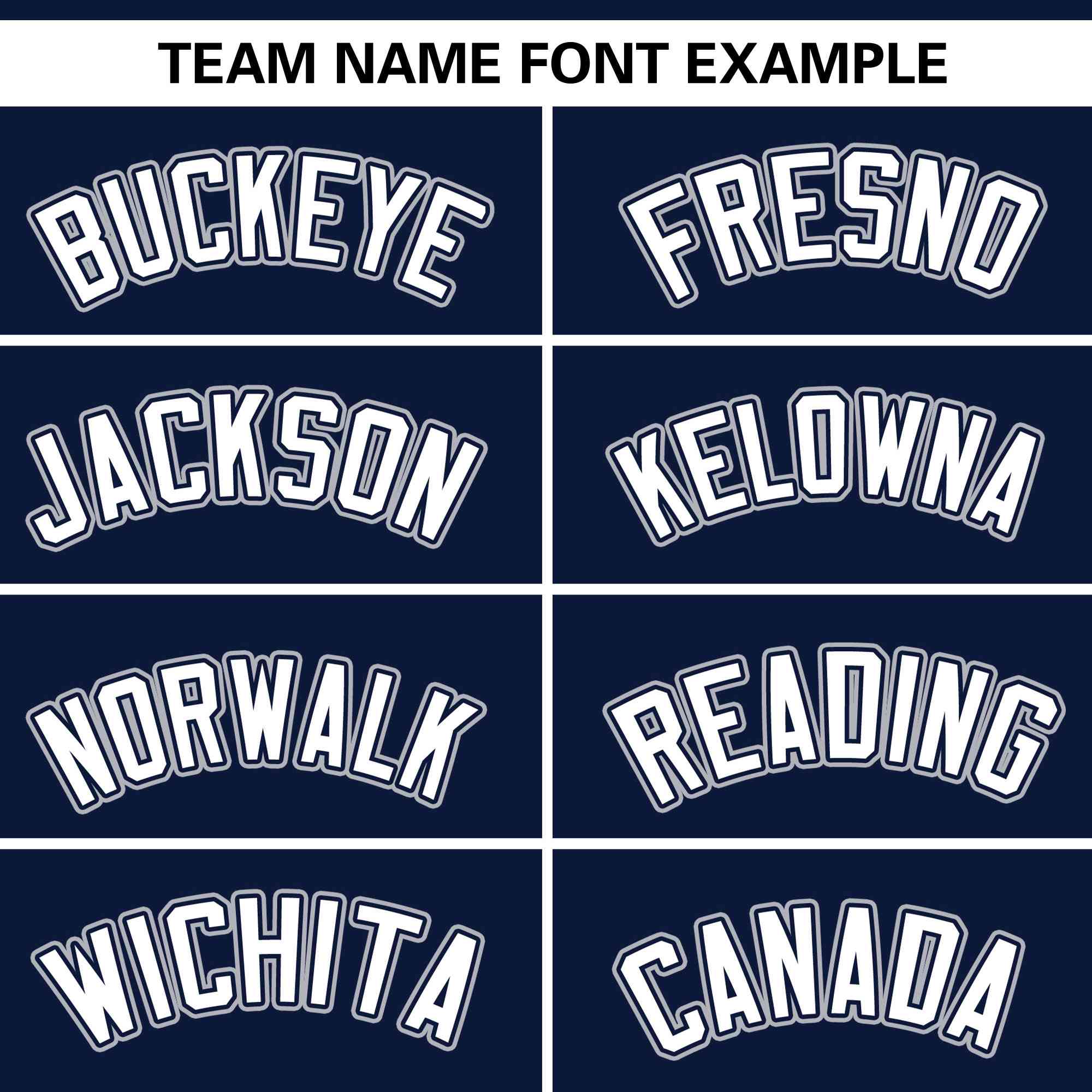 Custom Navy White Full Button Design Authentic Baseball Jersey