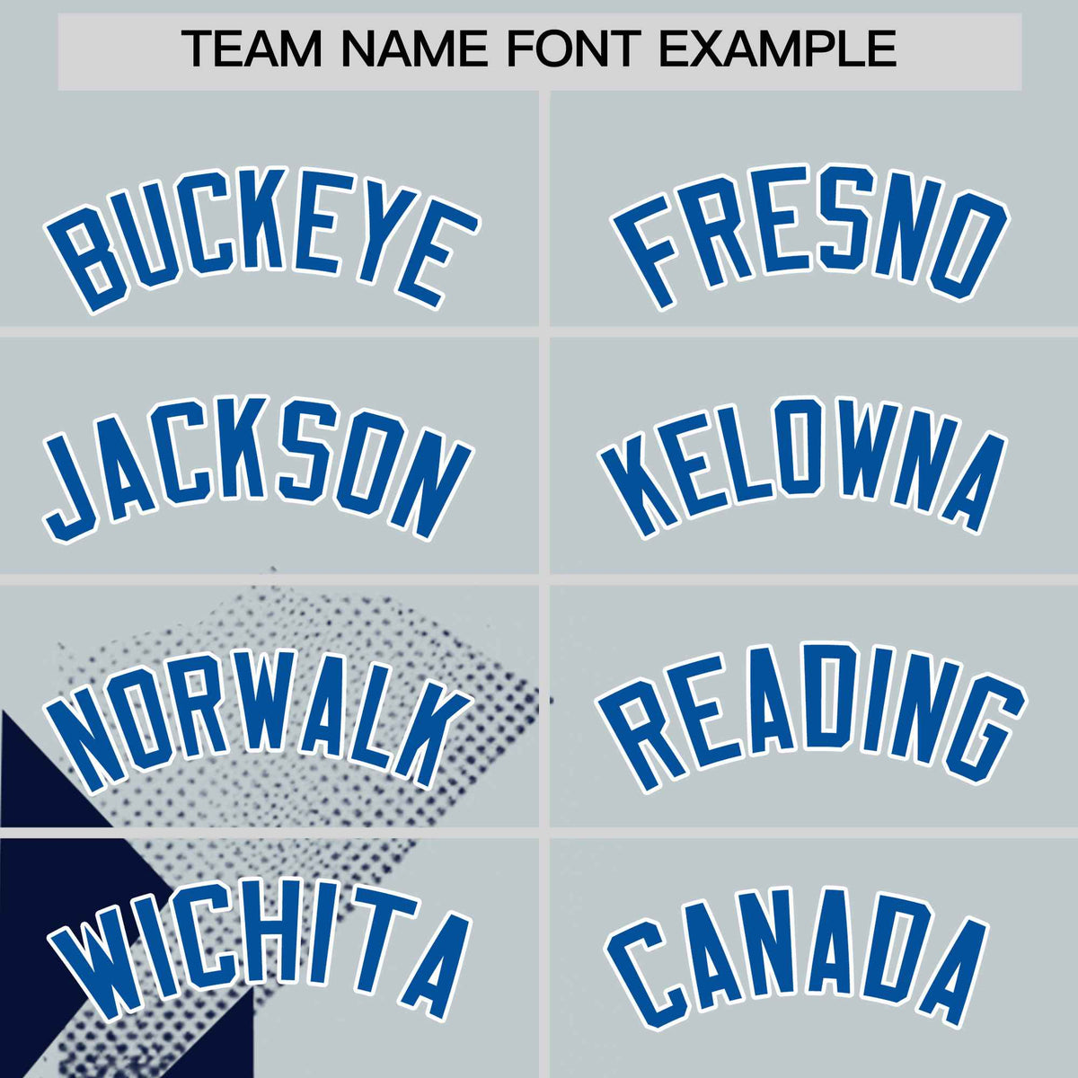 Custom Royal Silver Raptor Series Raglan Sleeves Street Style Baseball Jersey