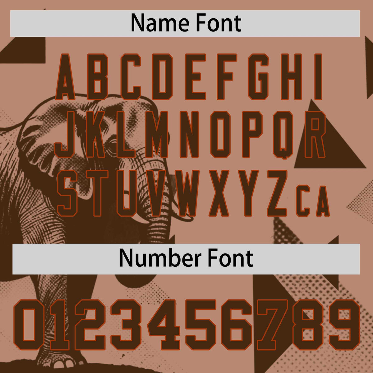 Custom Dark Orange Coffee Raptor Series Raglan Sleeves Hip Hop Baseball Jersey