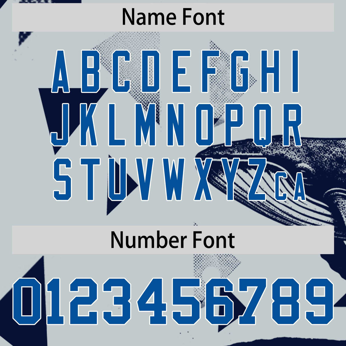 Custom Royal Silver Raptor Series Raglan Sleeves Street Style Baseball Jersey