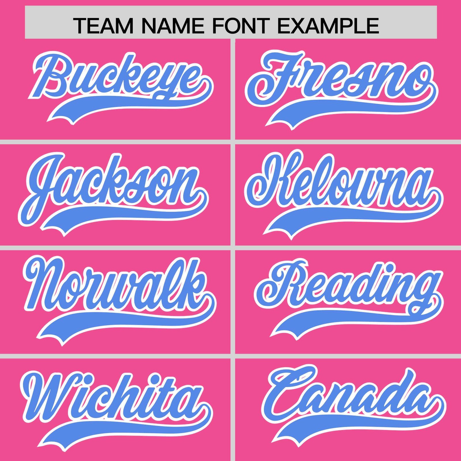 Custom Pink Light Blue Stripe Animals Graffiti Pattern Raglan Sleeves Authentic Baseball Jersey