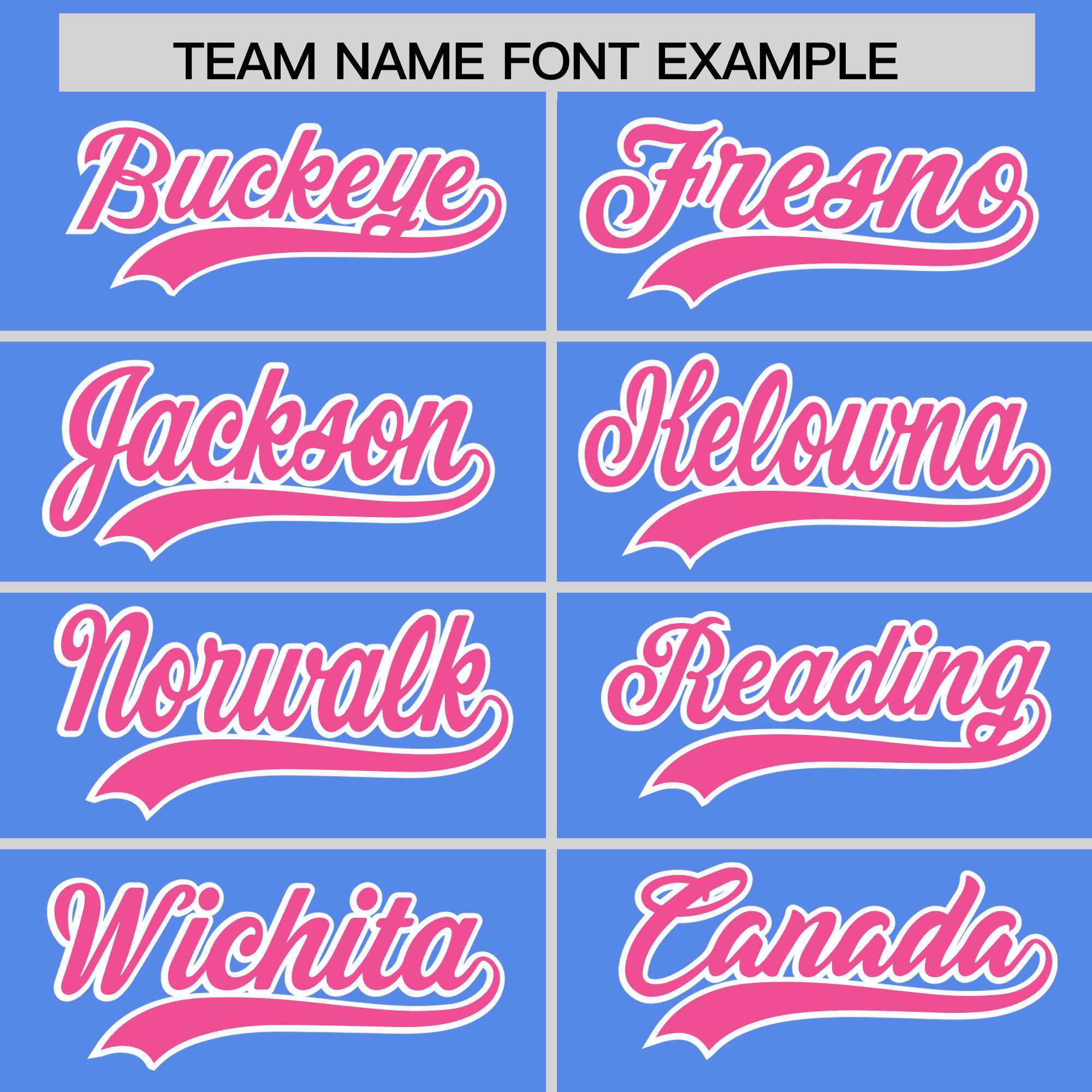 Custom Light Blue Pink Stripe Animals Graffiti Pattern Raglan Sleeves Authentic Baseball Jersey