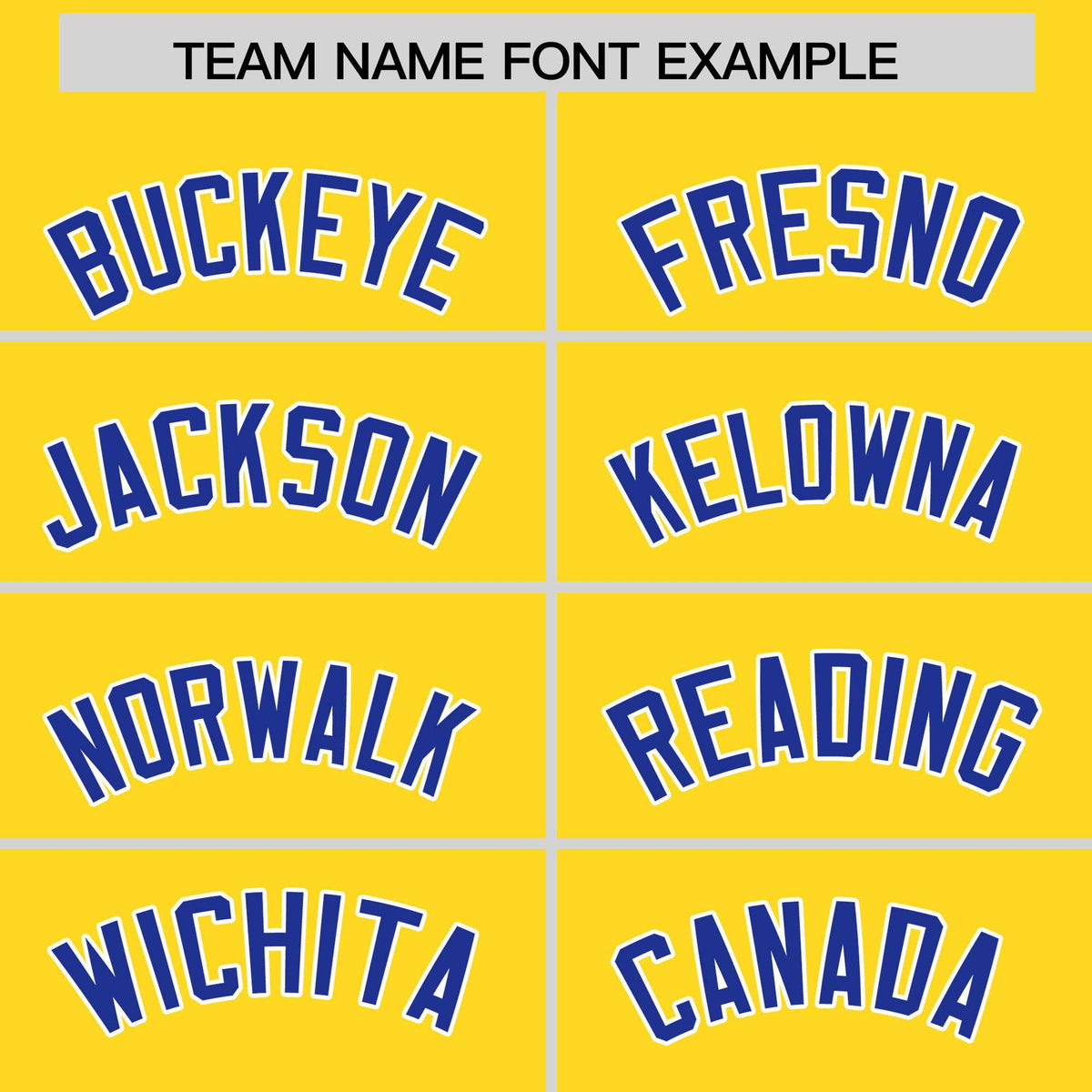 Custom Gold Royal Stripe Animals Graffiti Pattern Raglan Sleeves Authentic Baseball Jersey