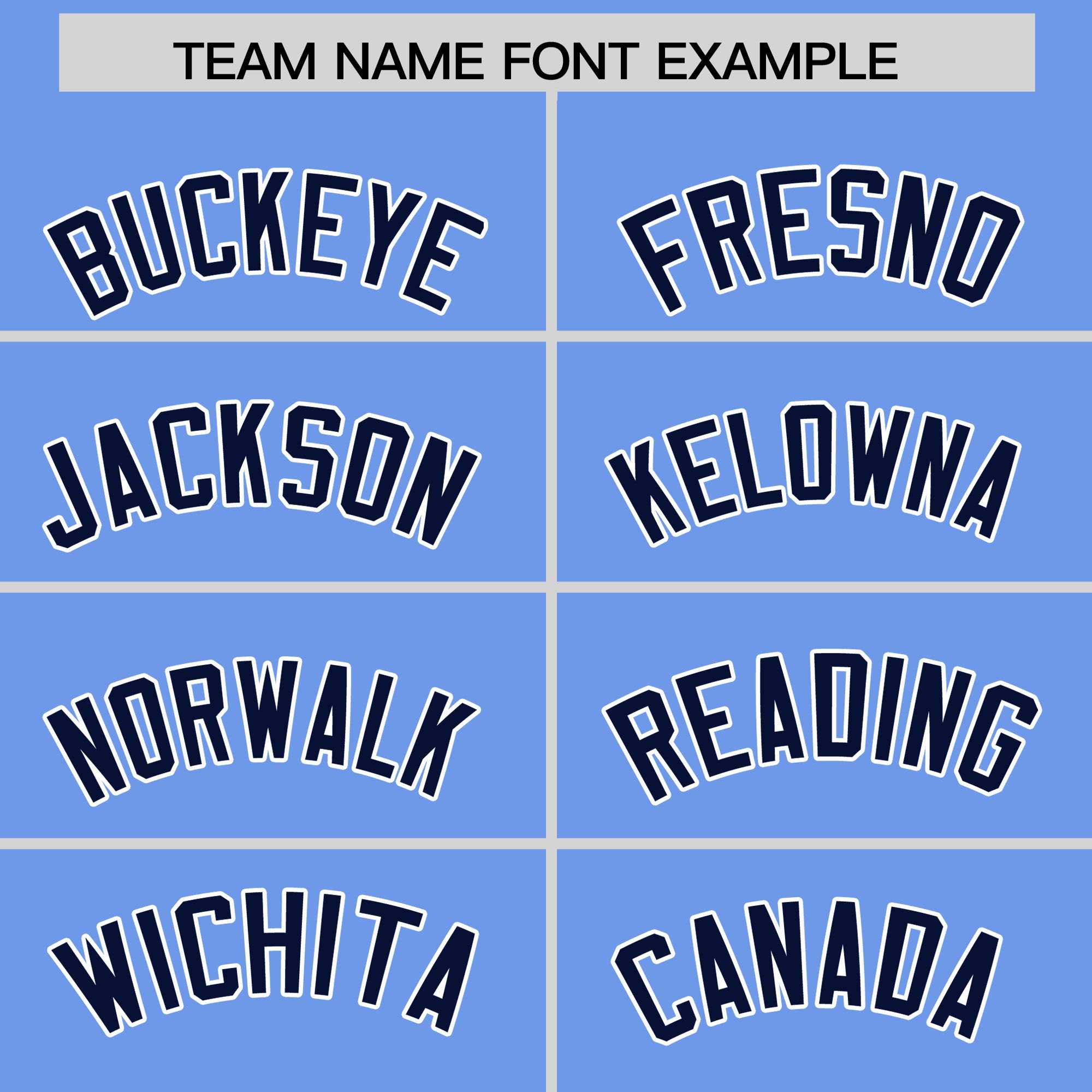 Custom Light Blue Navy Stripe Animals Graffiti Pattern Raglan Sleeves Authentic Baseball Jersey