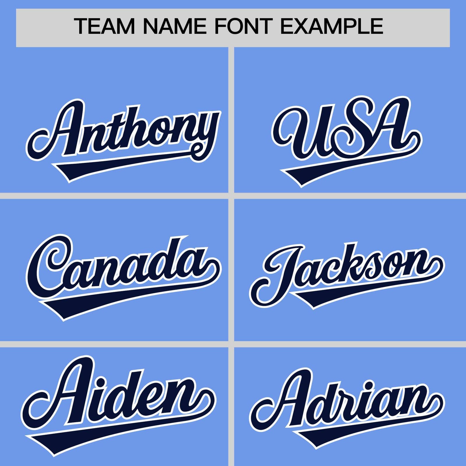 Custom Light Blue Navy Stripe Animals Graffiti Pattern Raglan Sleeves Authentic Baseball Jersey