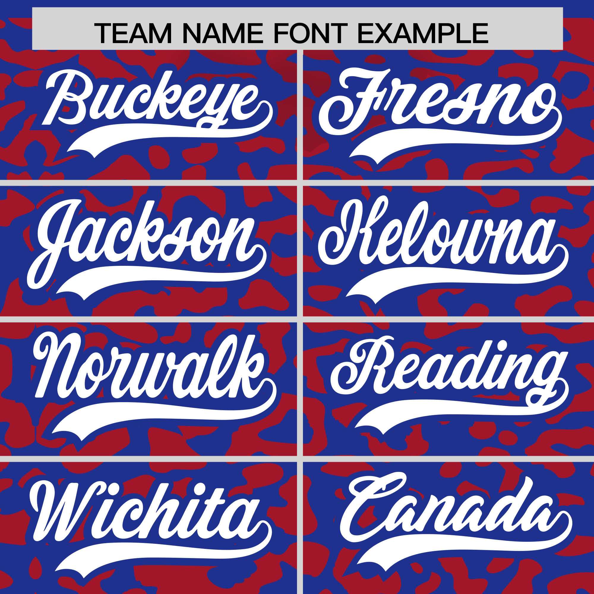 Custom Royal Red Leopard Print Pattern Authentic Baseball Jersey