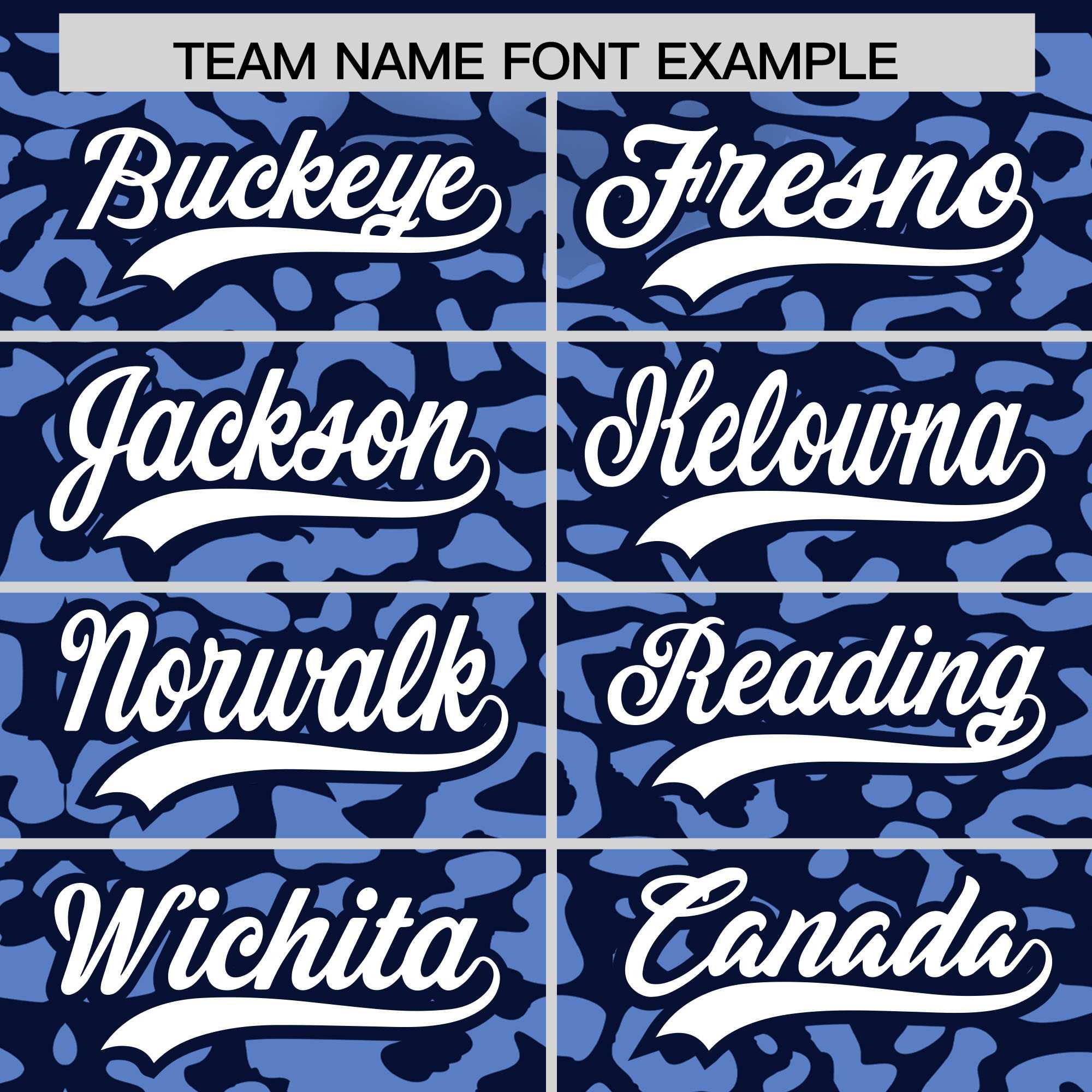 Custom Navy Light Blue Leopard Print Pattern Authentic Baseball Jersey