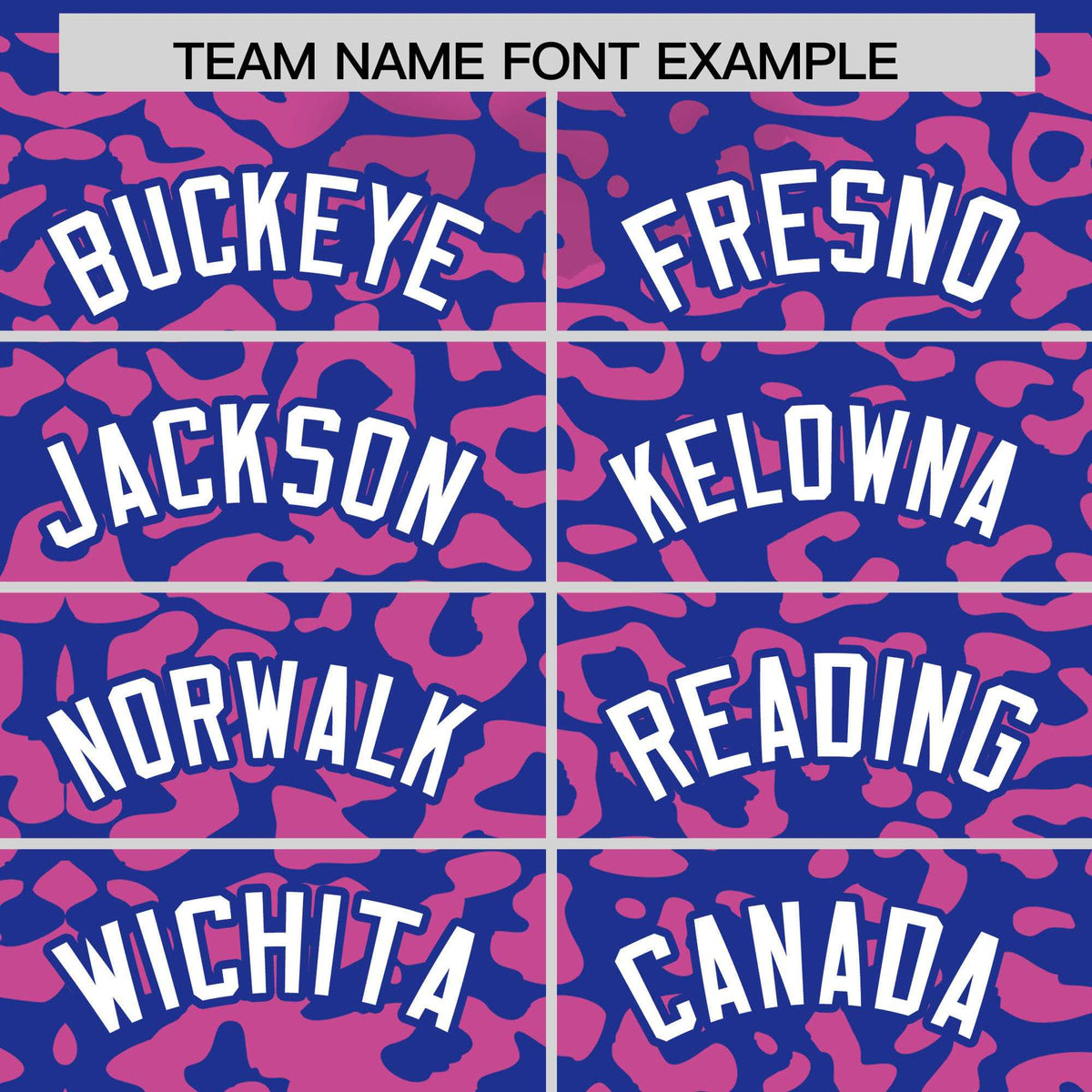 Custom Royal Pink Leopard Print Pattern Authentic Baseball Jersey