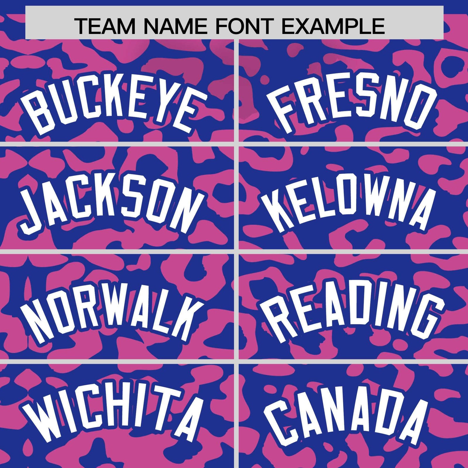 Custom Royal Pink Leopard Print Pattern Authentic Baseball Jersey