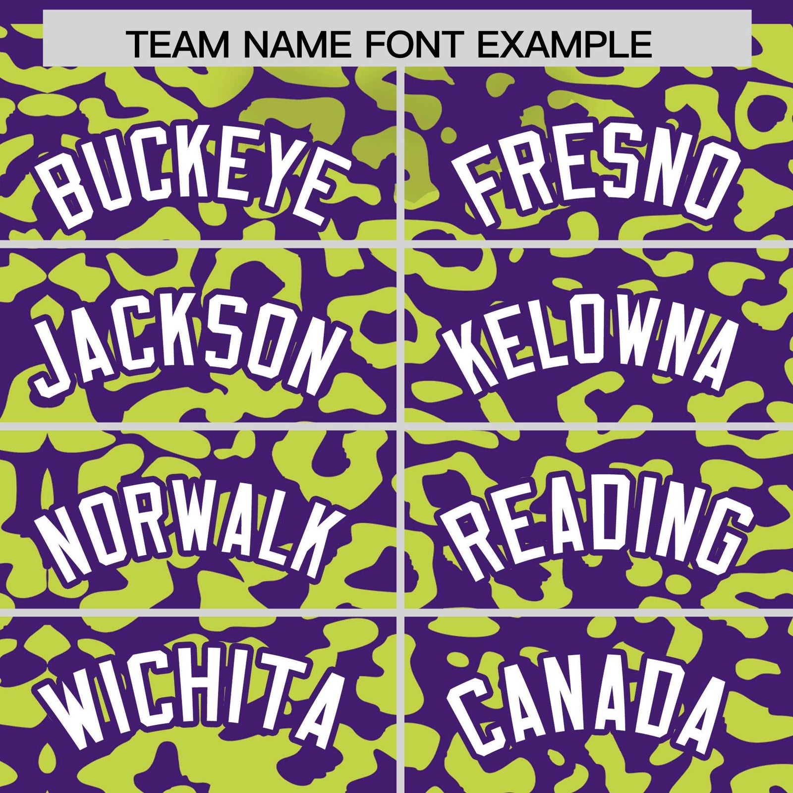 Custom Purple Fluorescent Green Leopard Print Pattern Authentic Baseball Jersey