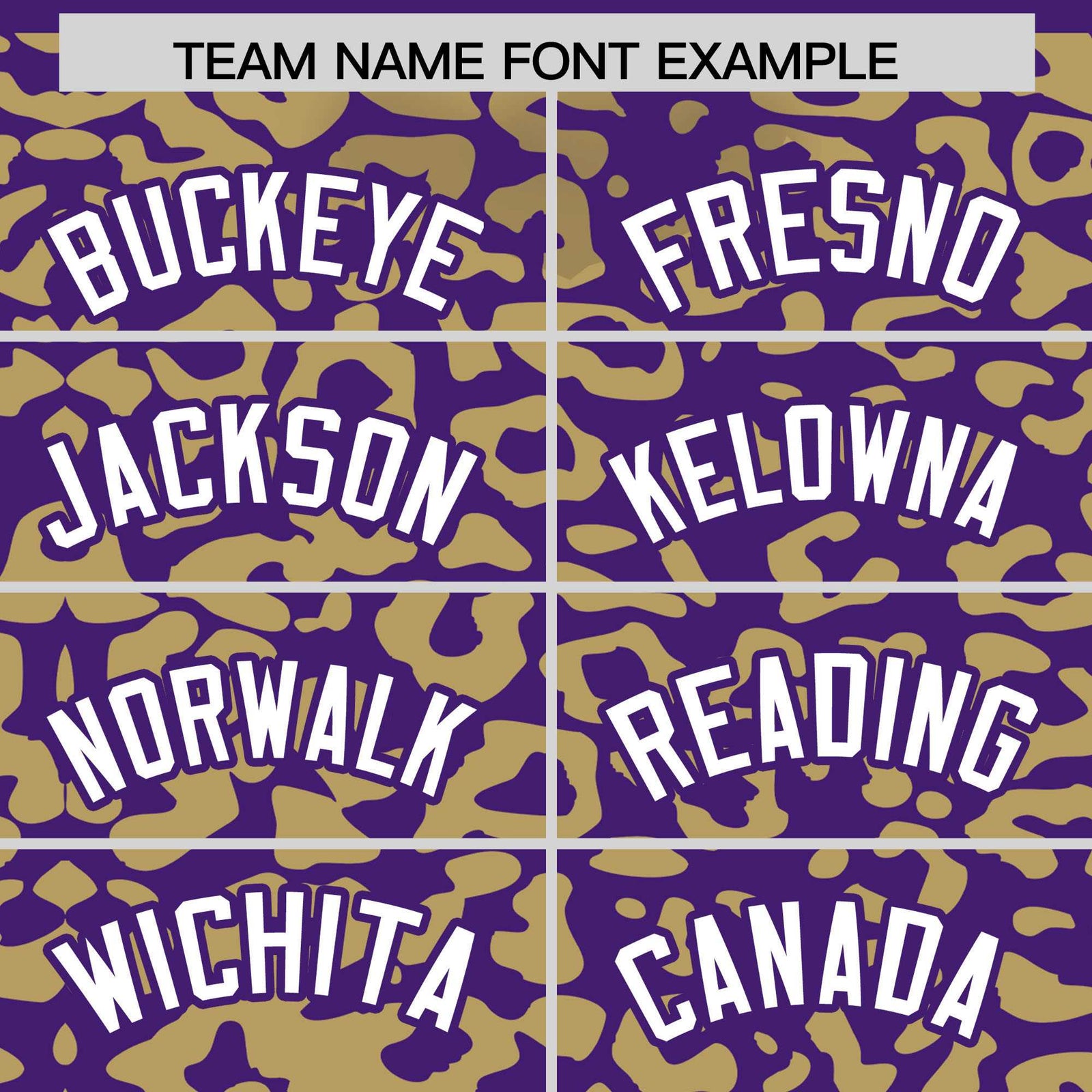 Custom Purple Old Gold Leopard Print Pattern Authentic Baseball Jersey