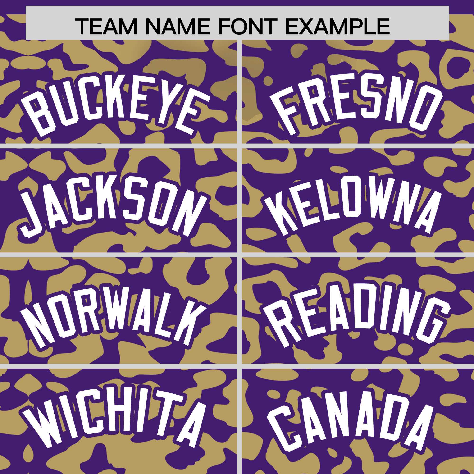 Custom Purple Old Gold Leopard Print Pattern Authentic Baseball Jersey