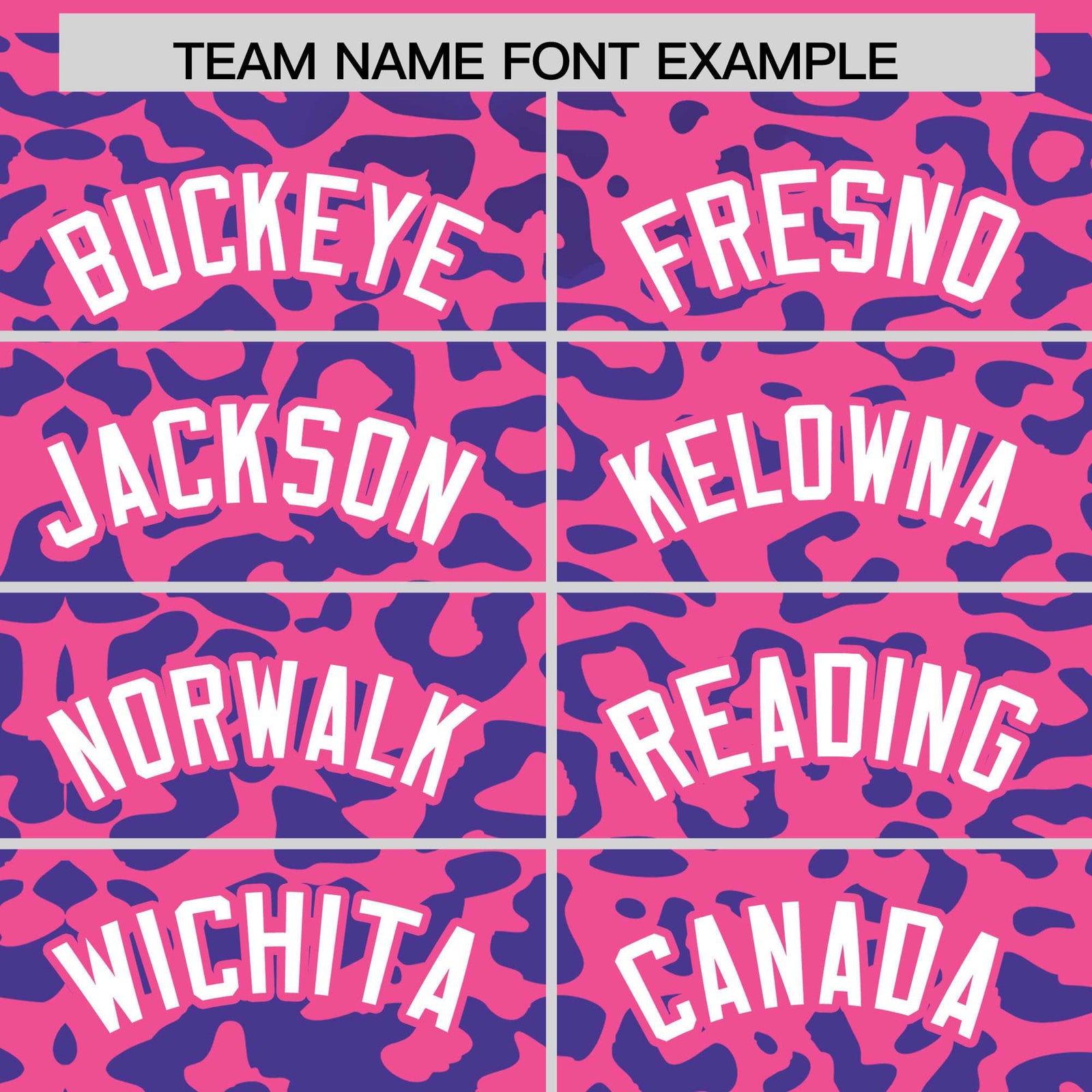 Custom Pink Royal Leopard Print Pattern Authentic Baseball Jersey