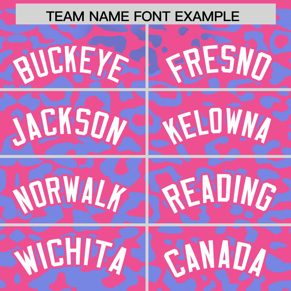 Custom Pink Light Blue Leopard Print Pattern Authentic Baseball Jersey