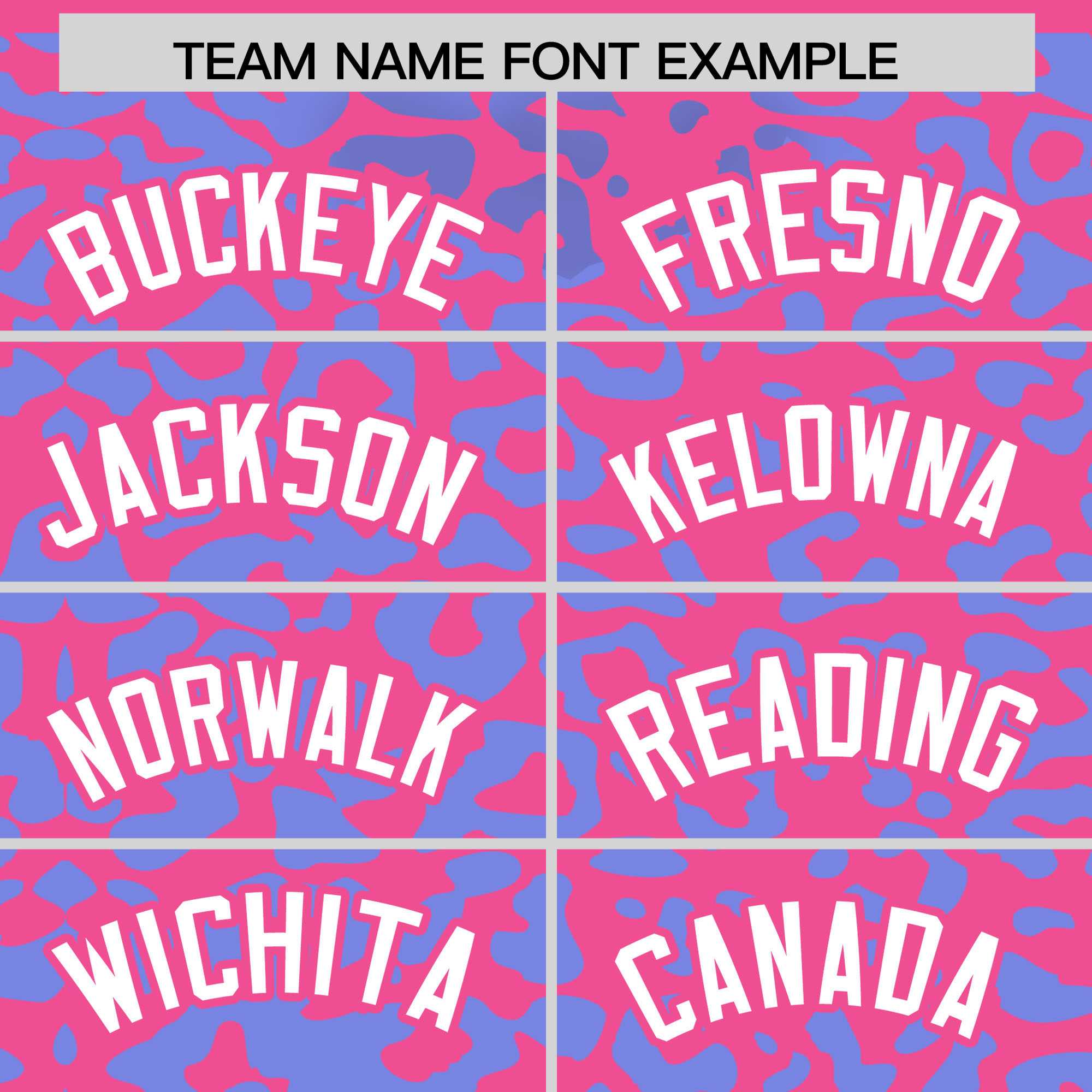 Custom Pink Light Blue Leopard Print Pattern Authentic Baseball Jersey