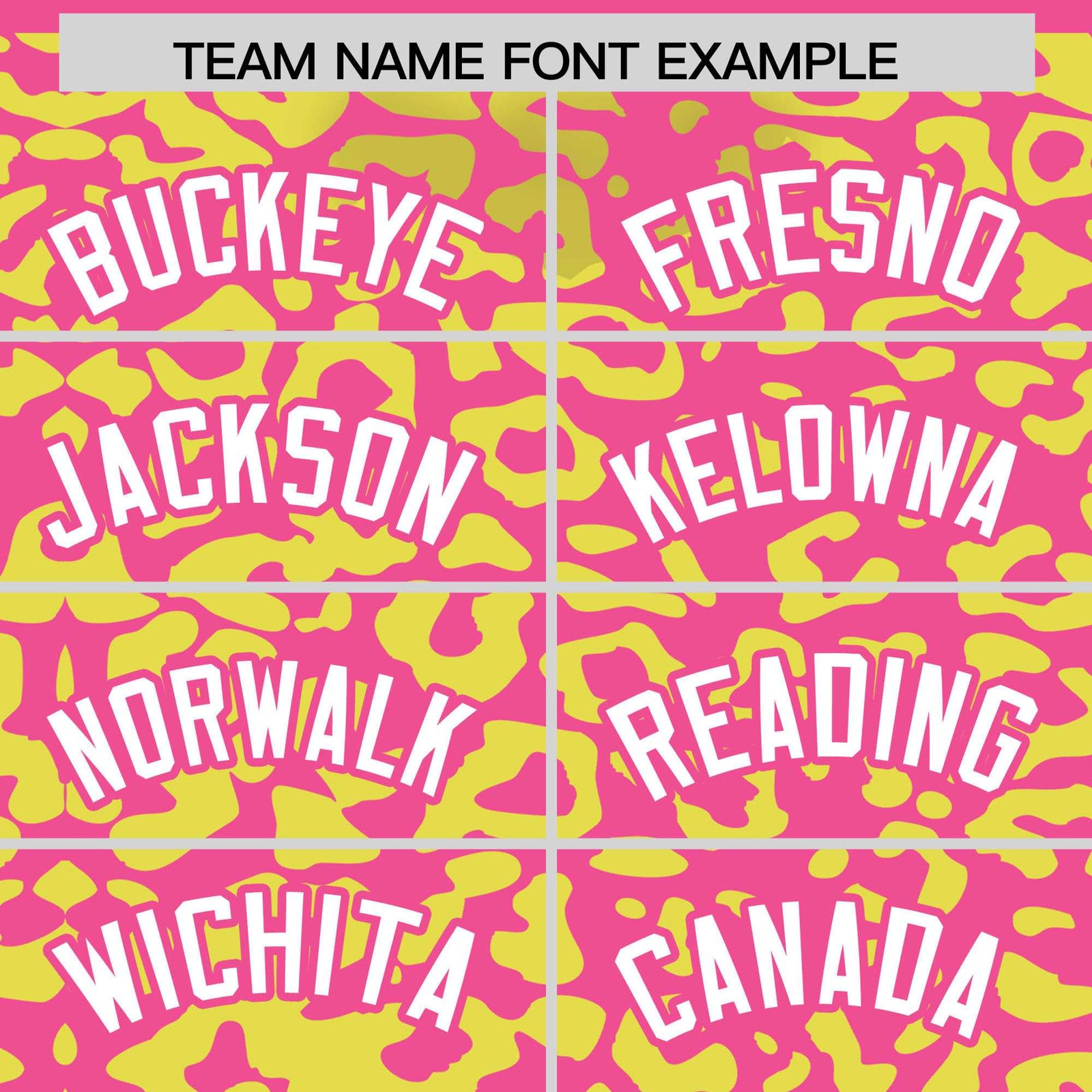 Custom Pink Fluorescent Green Leopard Print Pattern Authentic Baseball Jersey