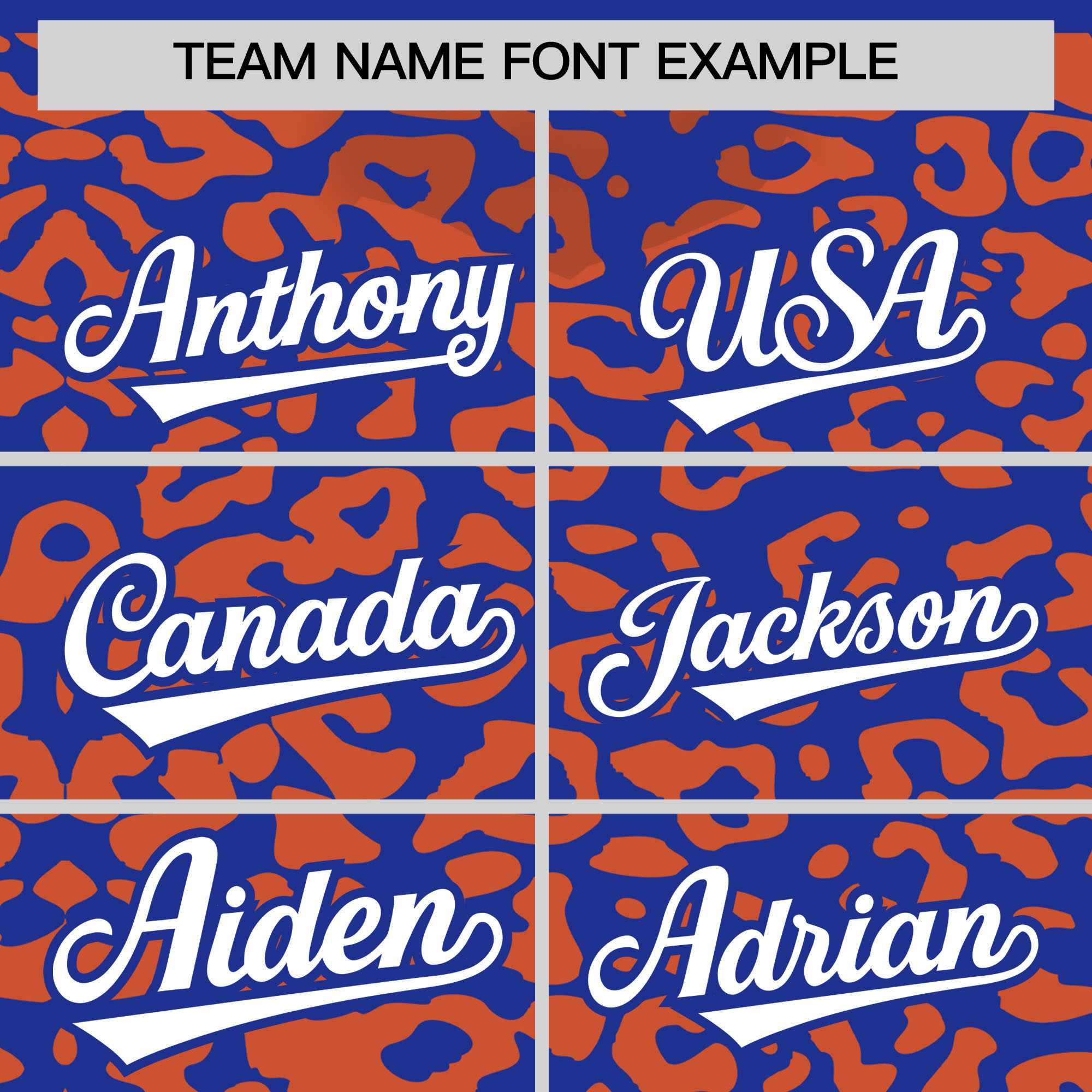 Custom Royal Orange Leopard Print Pattern Authentic Baseball Jersey