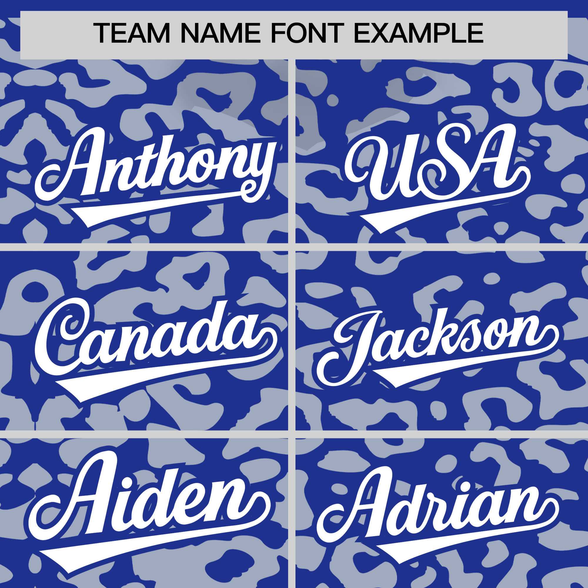 Custom Royal Silver Leopard Print Pattern Authentic Baseball Jersey