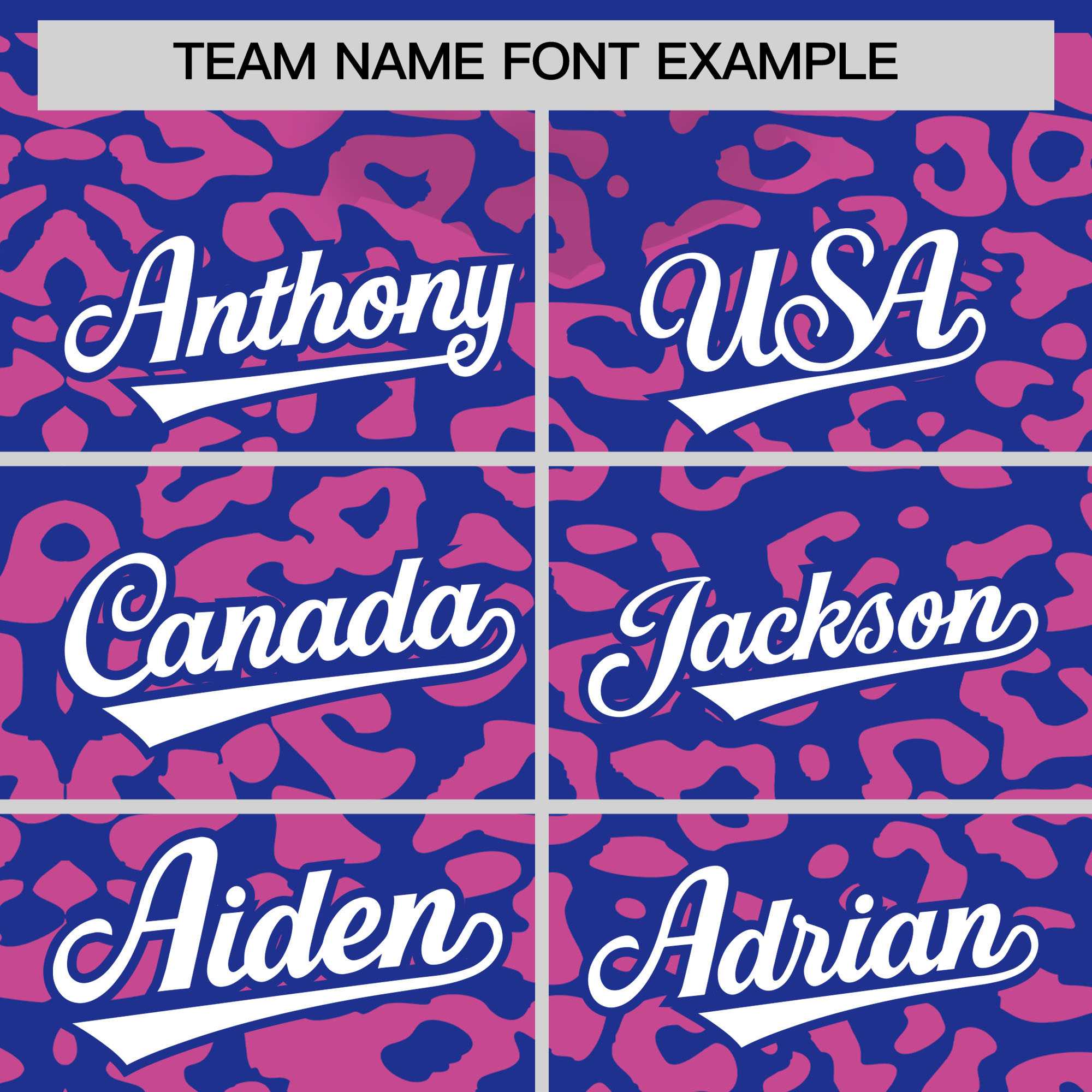 Custom Royal Pink Leopard Print Pattern Authentic Baseball Jersey