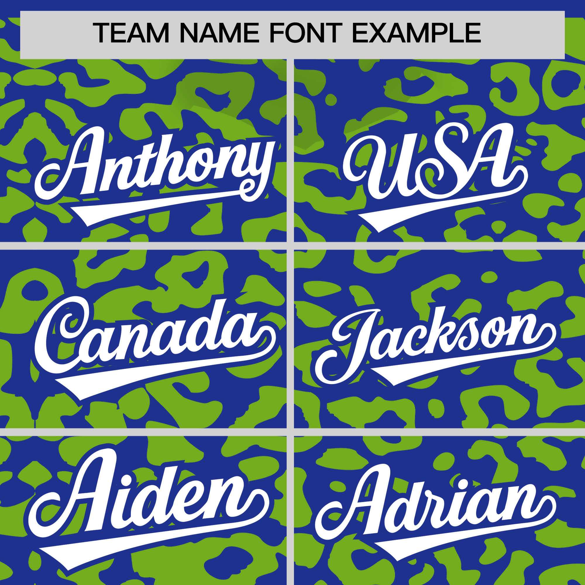 Custom Royal Neon Green Leopard Print Pattern Authentic Baseball Jersey