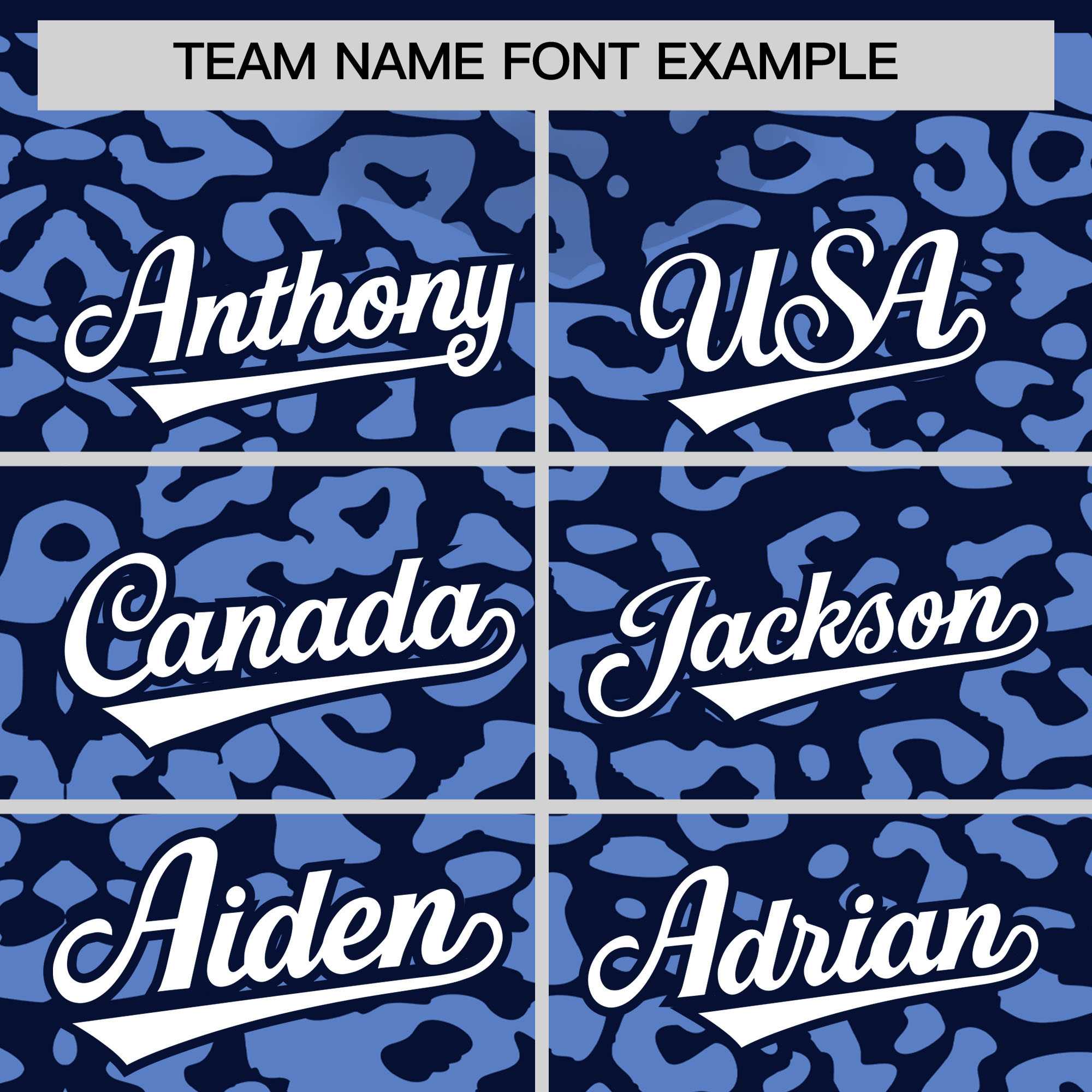 Custom Navy Light Blue Leopard Print Pattern Authentic Baseball Jersey