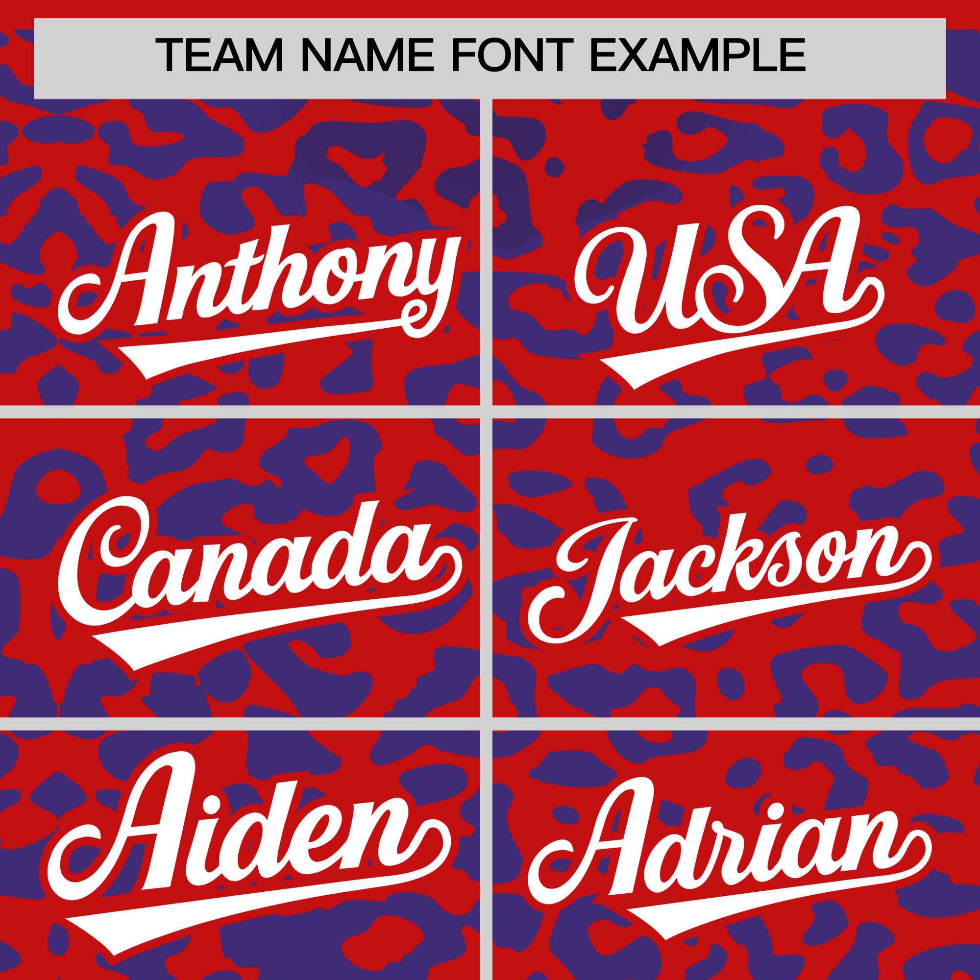 Custom Red Royal Leopard Print Pattern Authentic Baseball Jersey