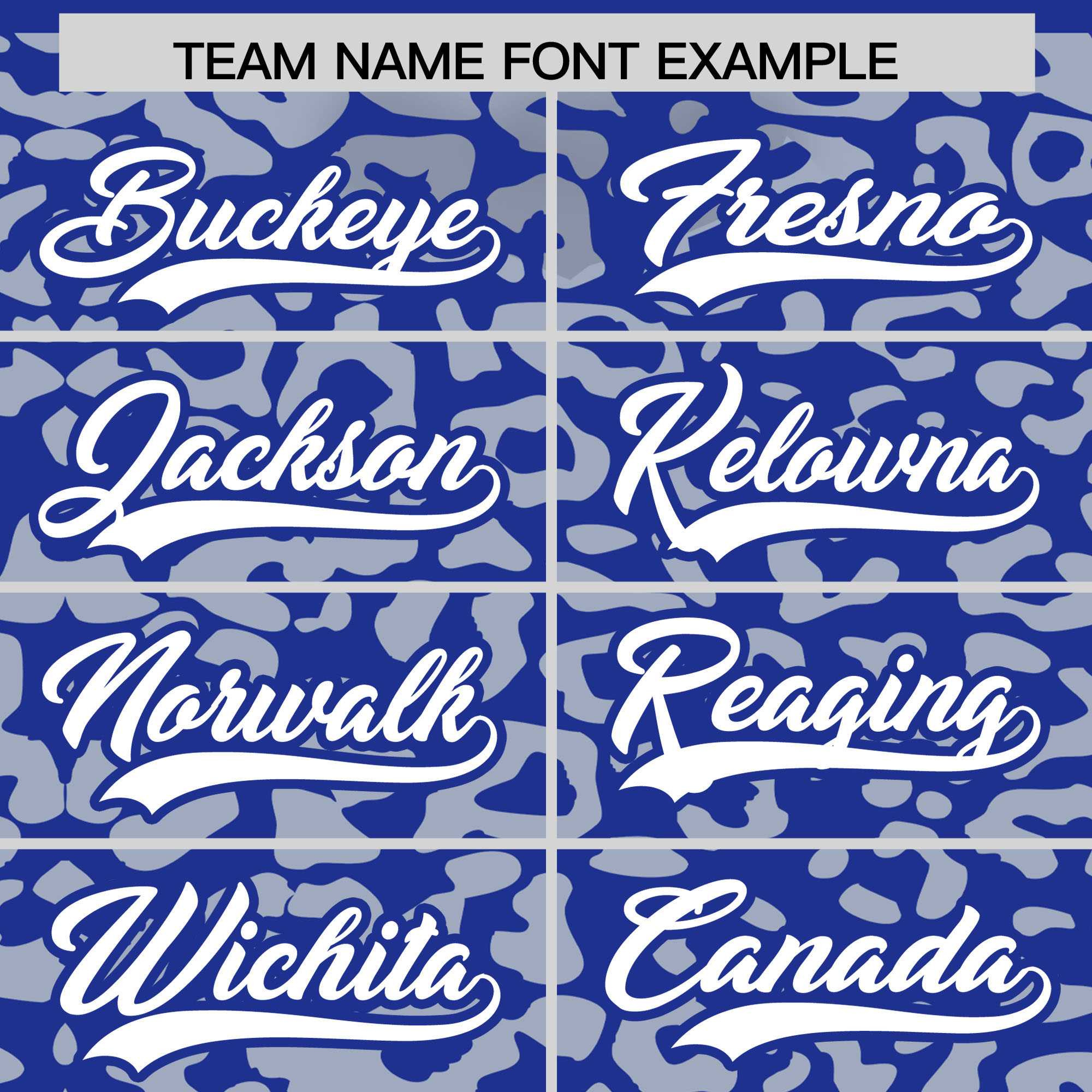 Custom Royal Silver Leopard Print Pattern Authentic Baseball Jersey