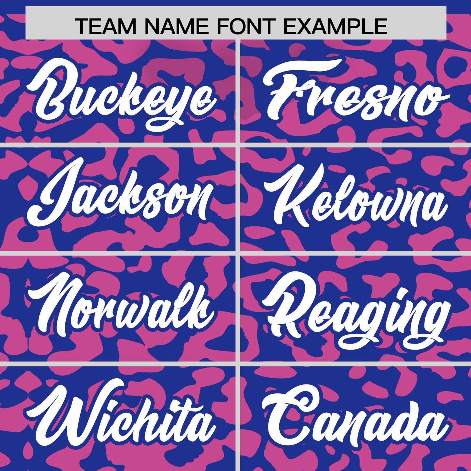 Custom Royal Pink Leopard Print Pattern Authentic Baseball Jersey