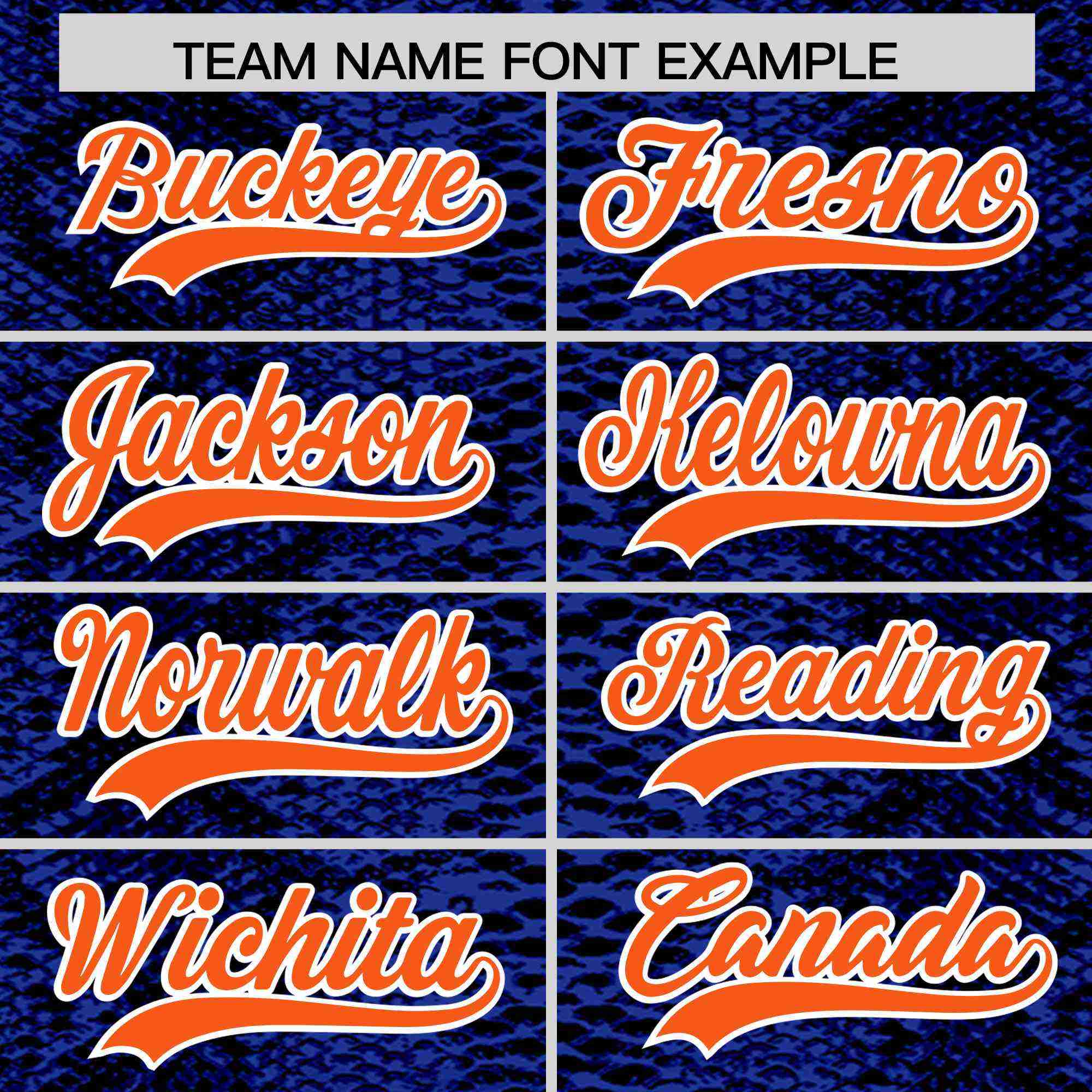 Custom Multi Color Snakeskin Pattern Authentic Baseball Jersey