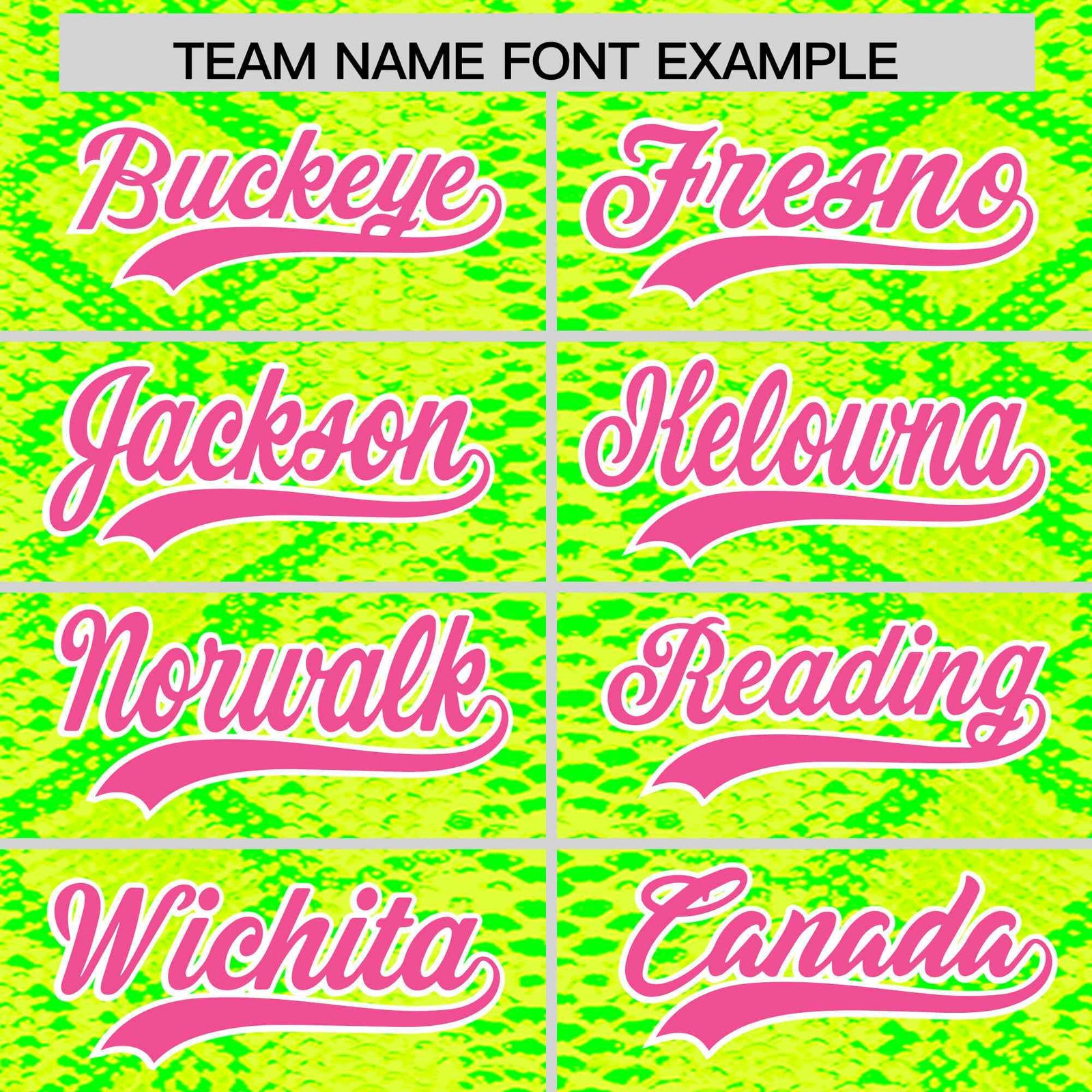 Custom Multi Color Snakeskin Pattern Authentic Baseball Jersey