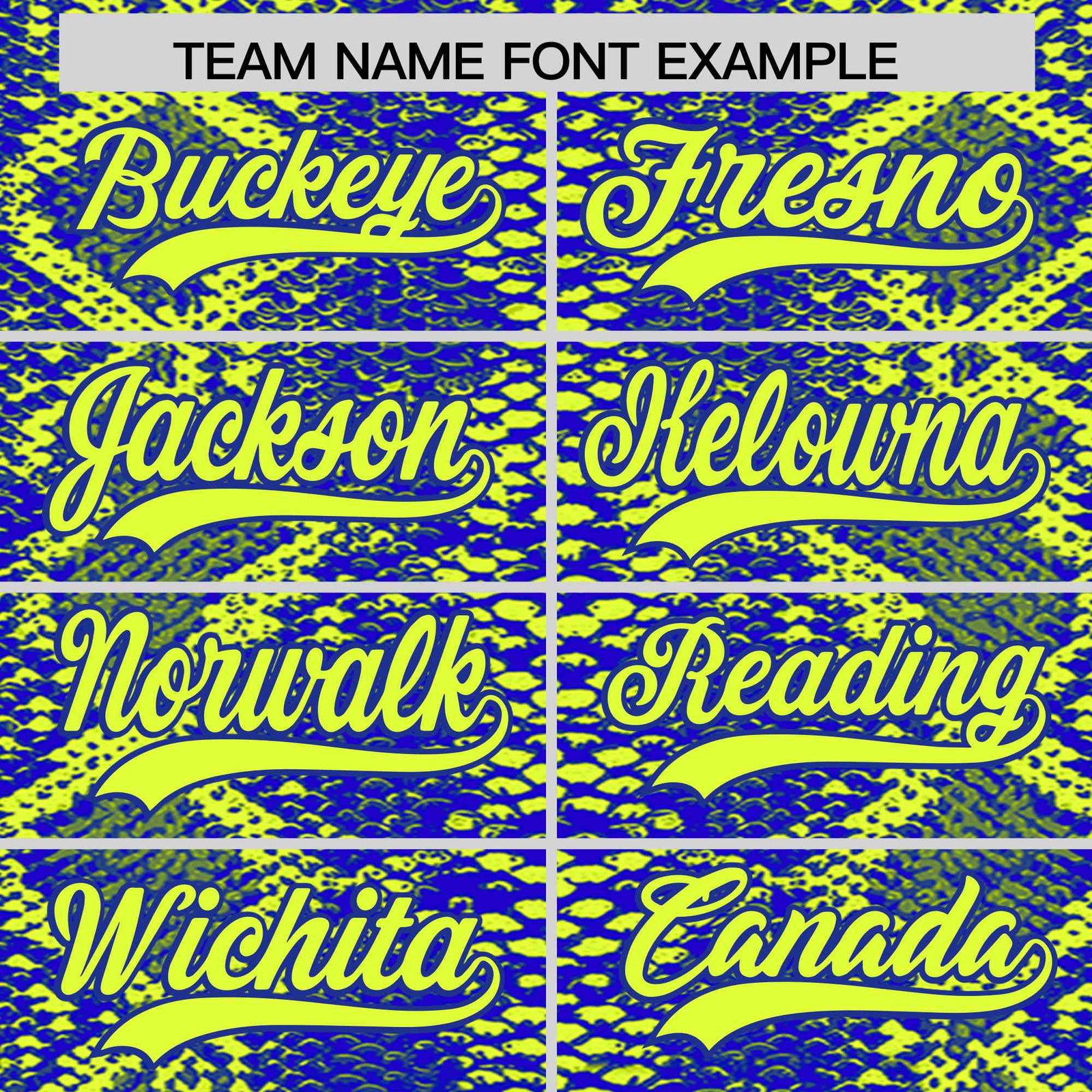 Custom Multi Color Snakeskin Pattern Authentic Baseball Jersey